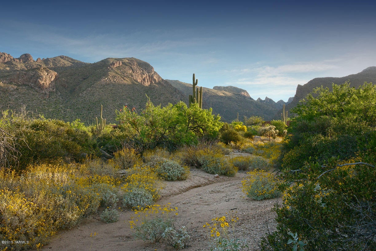 Pima Canyon Estates (30,33,96-102,115,124-127,136-139,147-151,16) - Land