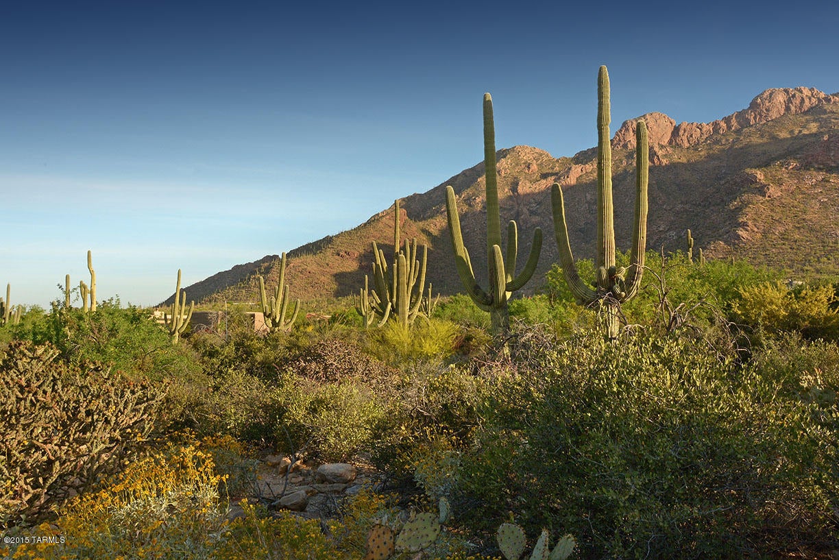 Pima Canyon Estates (30,33,96-102,115,124-127,136-139,147-151,16) - Land