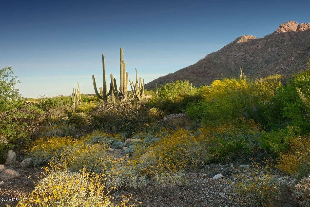 Pima Canyon Estates (30,33,96-102,115,124-127,136-139,147-151,16) - Land