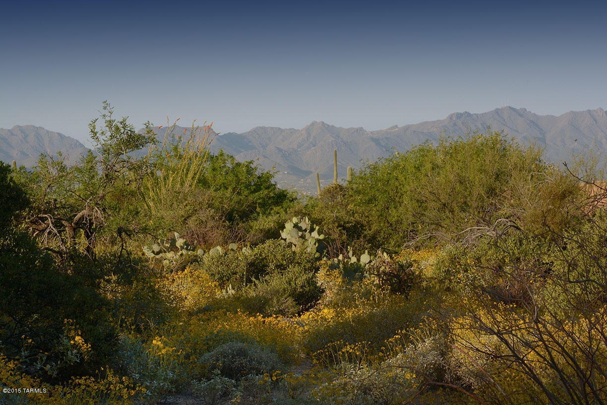 Pima Canyon Estates (30,33,96-102,115,124-127,136-139,147-151,16) - Land