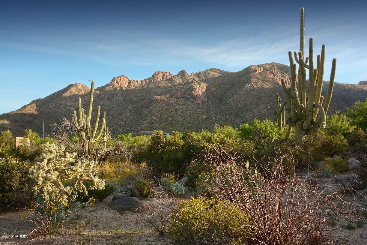 Pima Canyon Estates (30,33,96-102,115,124-127,136-139,147-151,16) - Land