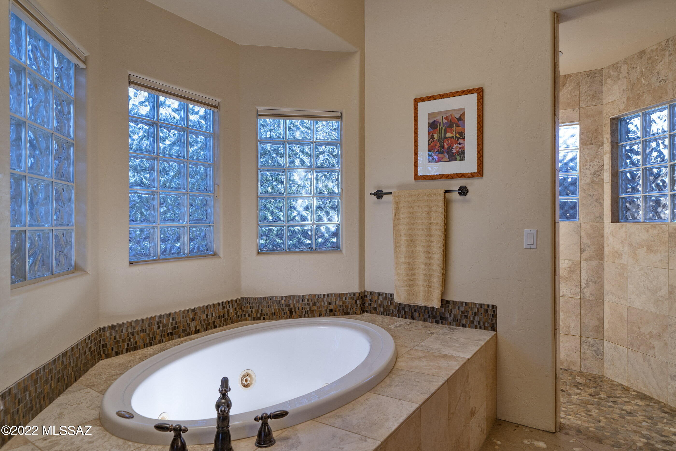 Pusch Ridge Vistas (1-31) - Residential