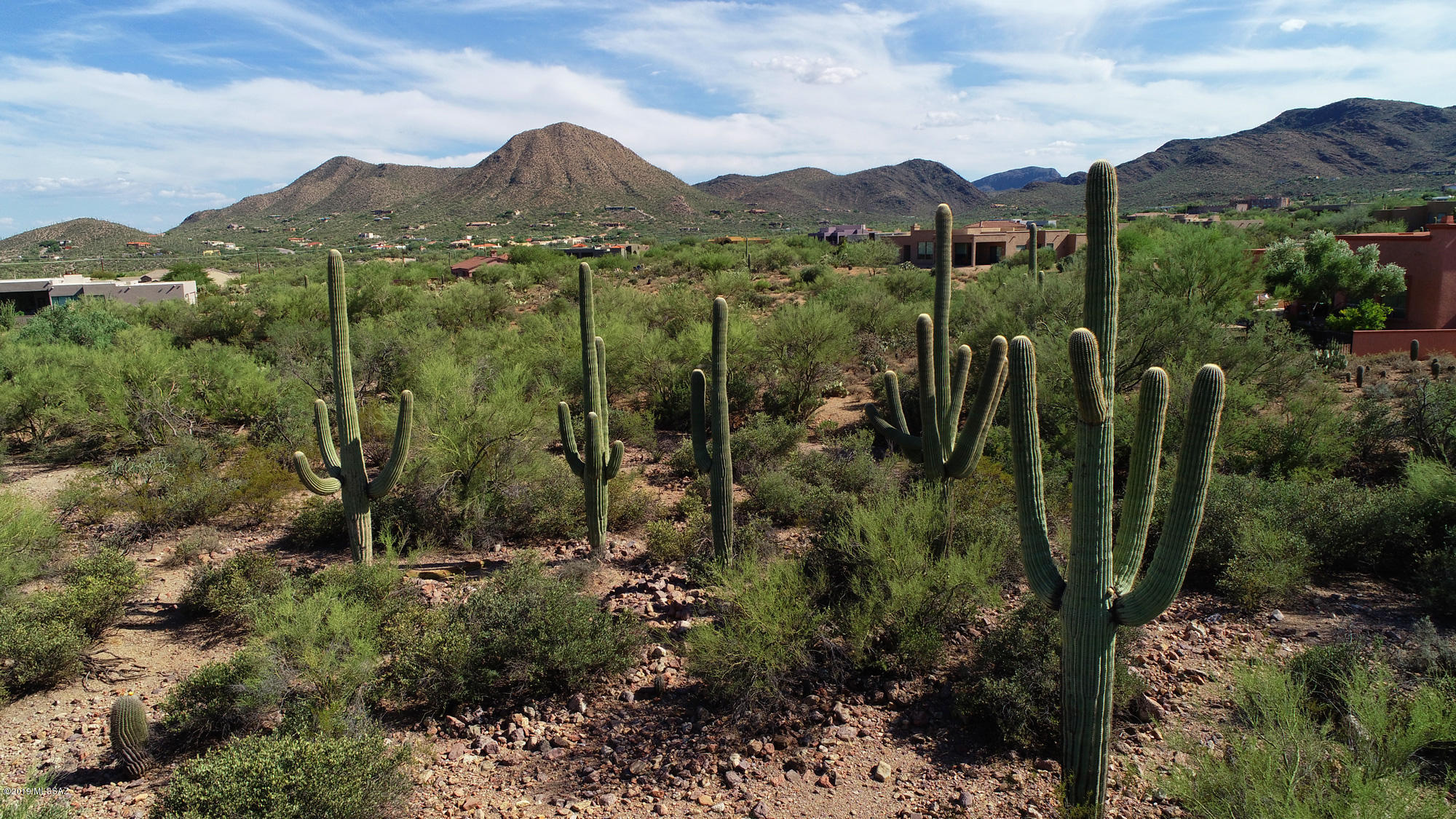 Saguaro Cliffs (1-61) - Land
