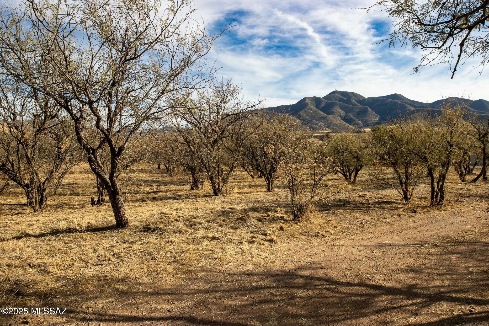 This spacious, dividable lot in Patagonia offers the perfect balance of privacy and convenience. With mature mesquites dotting the landscape and stunning views all around, you'll have a peaceful retreat just minutes from the heart of town. Plus, being out of the floodplain gives added peace of mind. The property comes with the modern amenities of underground electricity and city water, making it ideal for building your dream home. Don't miss the opportunity to enjoy a secluded setting with the charm of small-town living, all within walking distance of local shops and restaurants.