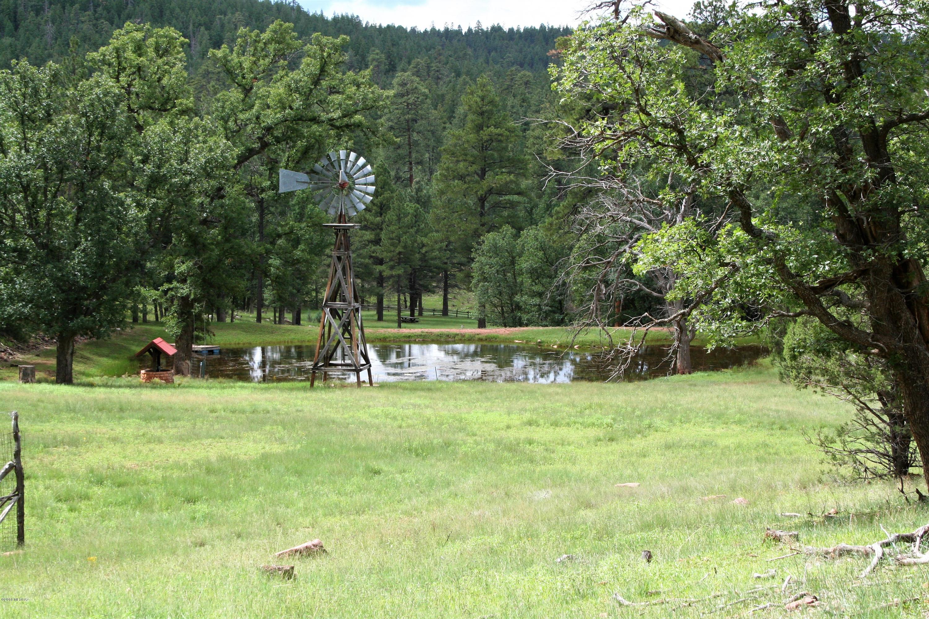 Little Springs Ranch is a historic 59.3 acre original homestead situated amid lush stands of old growth Ponderosa Pine, Gamble Oak, three kinds of Juniper, Aspen & Fir at 7,000 clear cool feet. It is surrounded on all four sides & located in the heart of the 1,850,000 acre Coconino National Forest. A 1,399 square foot main residence with a 760 square foot garage/workshop & a separate guest bunkhouse provide very comfortable accommodations for friends & family. Ownership includes Little Springs itself which provides the pure spring water for the residences & the fishing pond. The ranch is a two hour drive from Phoenix & only 1.3 miles from Hwy 87. It has underground electric throughout & a well that supplements the pond. The ranch & surrounds have some of the best hunting in AZ. SEE SUPPLMT The unlimited horseback riding out through the gates on the ranch is fantastic. The year round pond is a wildlife magnet which attract elk, bear, turkey, whitetail, mule deer and much more. The diversity of the terrain and vegetation is unrivaled anywhere on private property in the state. This is a destination legacy ranch with the feel of thousands of acres of ownership that is very private, with easy access and is rarely available in Arizona. Don't miss out on this one.