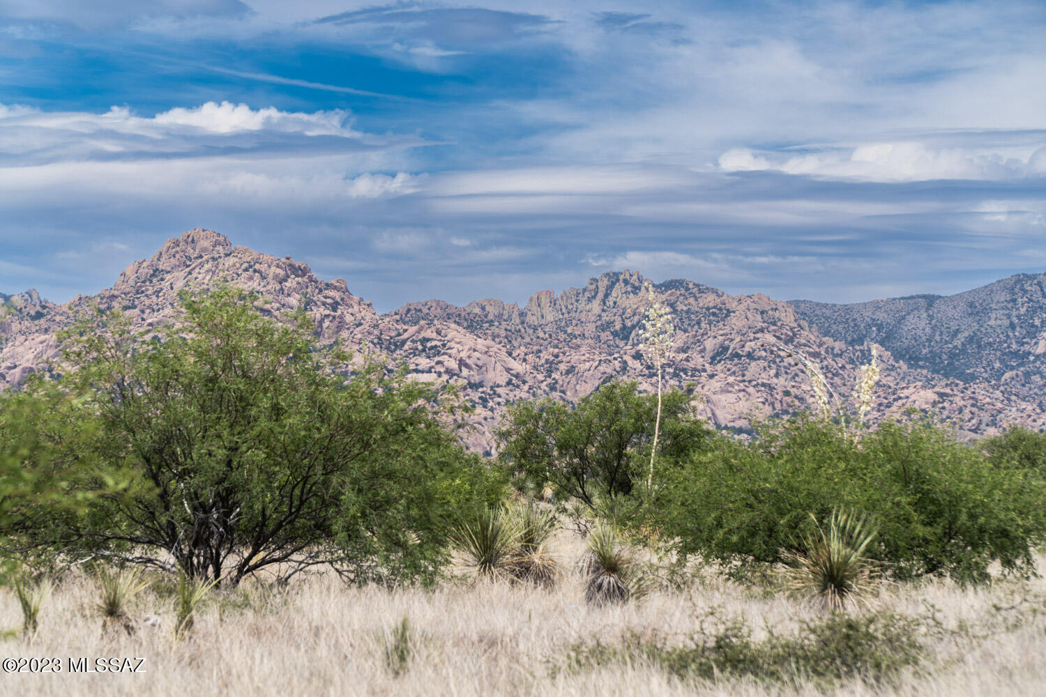 Dragoon Mountain Ranch - Land