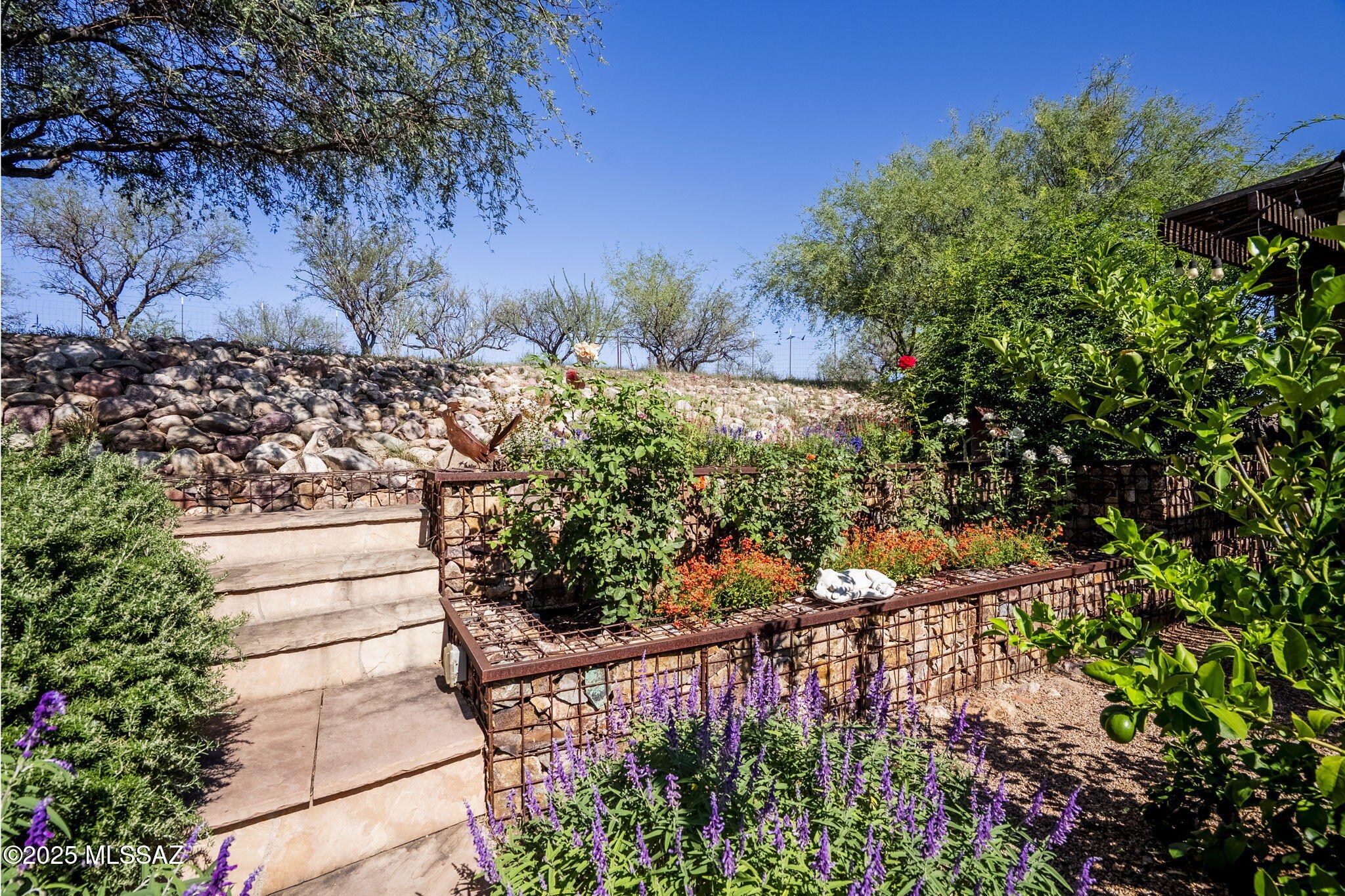 Rail X Ranch Est - Residential