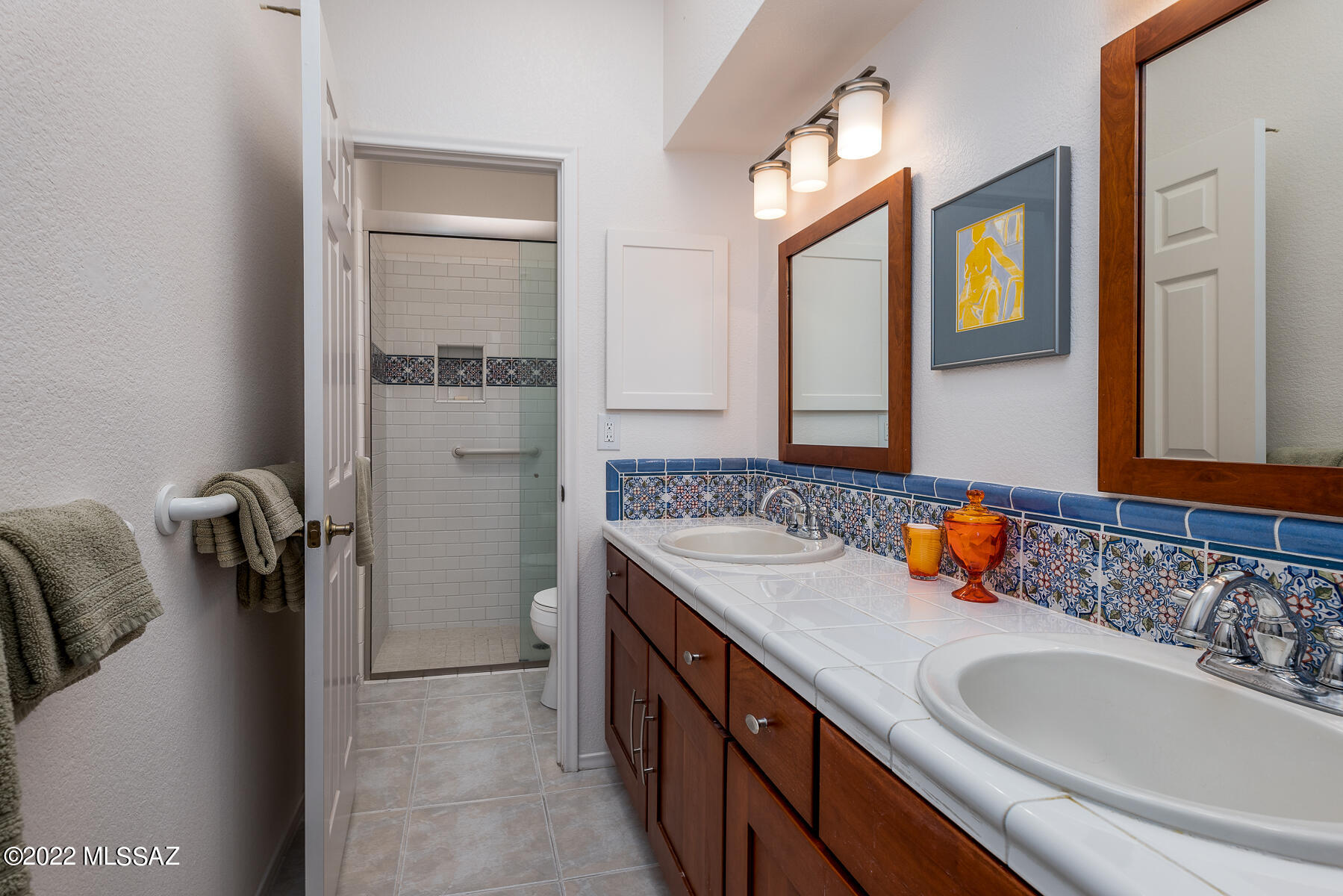 La Cholla Hills(1-313) - Residential