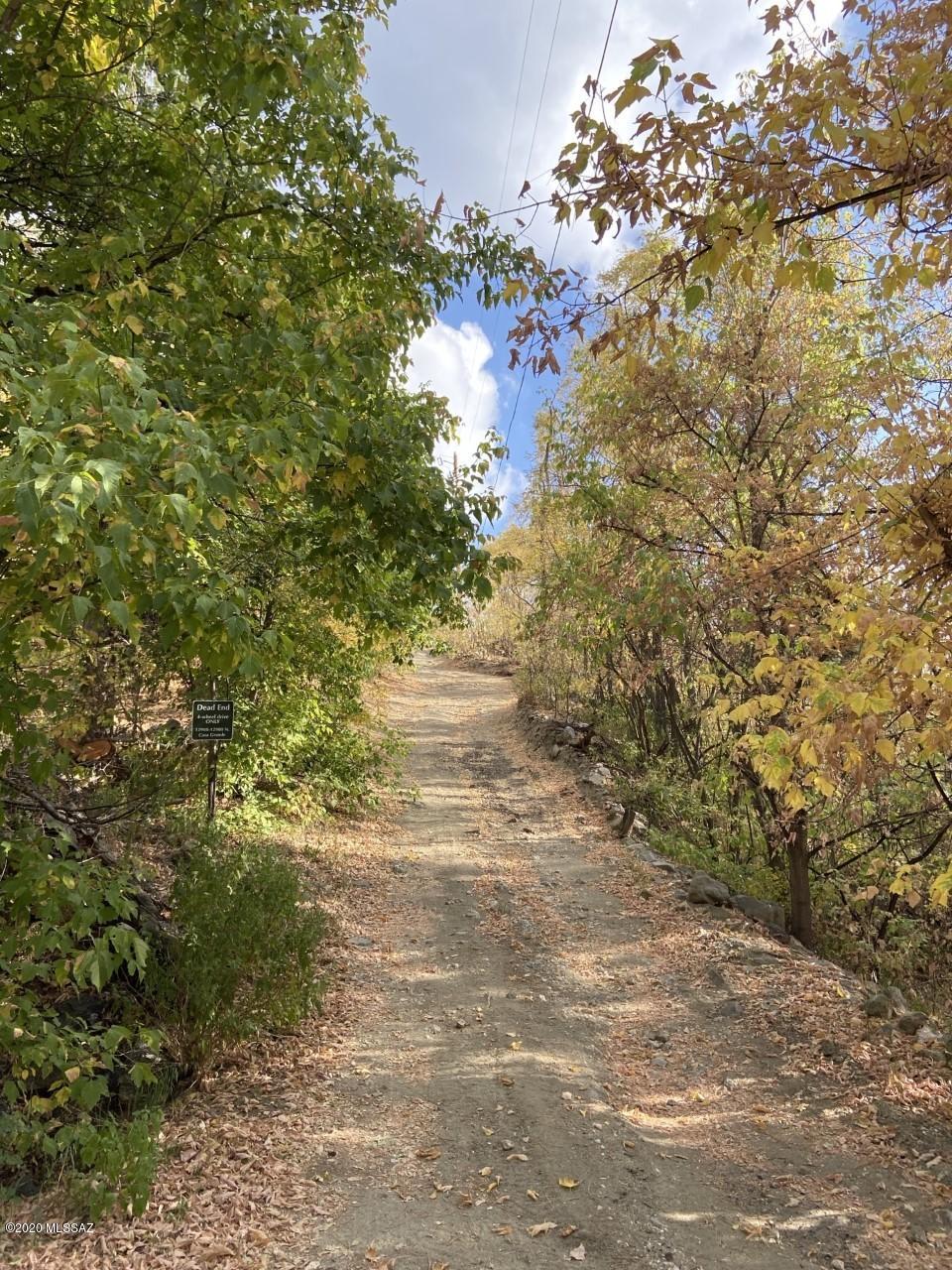 Your chance to own a slice of serenity on Mount Lemmon. Beautiful views from this 0.12 acre lot. Views of Summerhaven as well as the mountain. Electric and water at the lot line.   You'll feel like you are in a tree house from your dream home.  Waiting for you to make your dreams of a Mount Lemmon get away a reality.