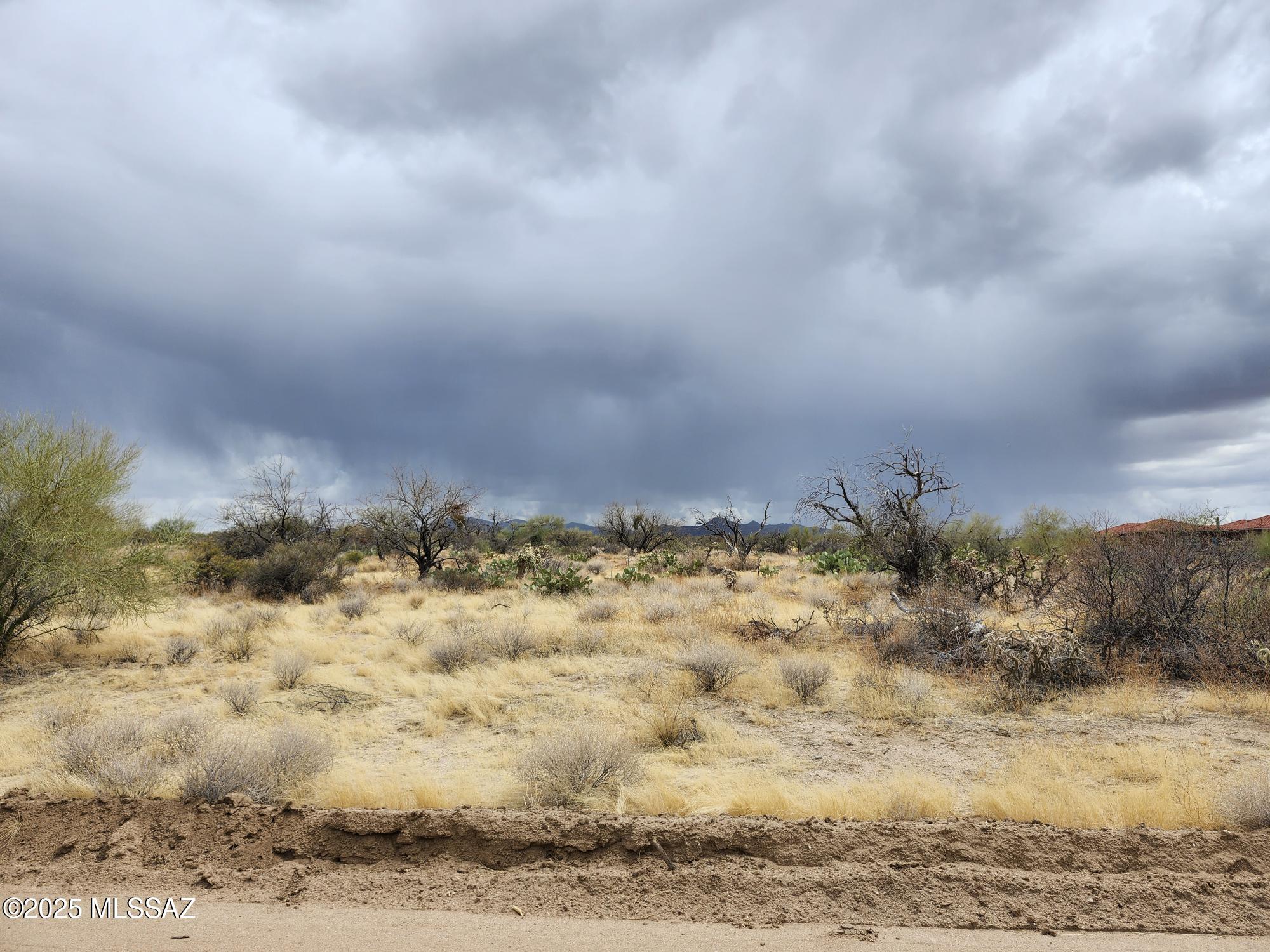 Diamond Bell Ranch - Tucson Unit 2 (1-48) - Land