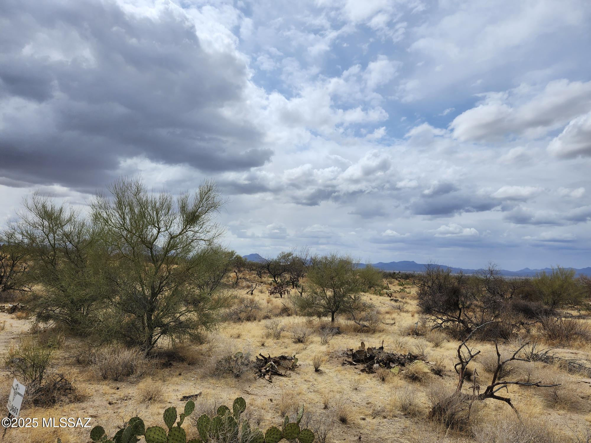 Diamond Bell Ranch - Tucson Unit 2 (1-48) - Land