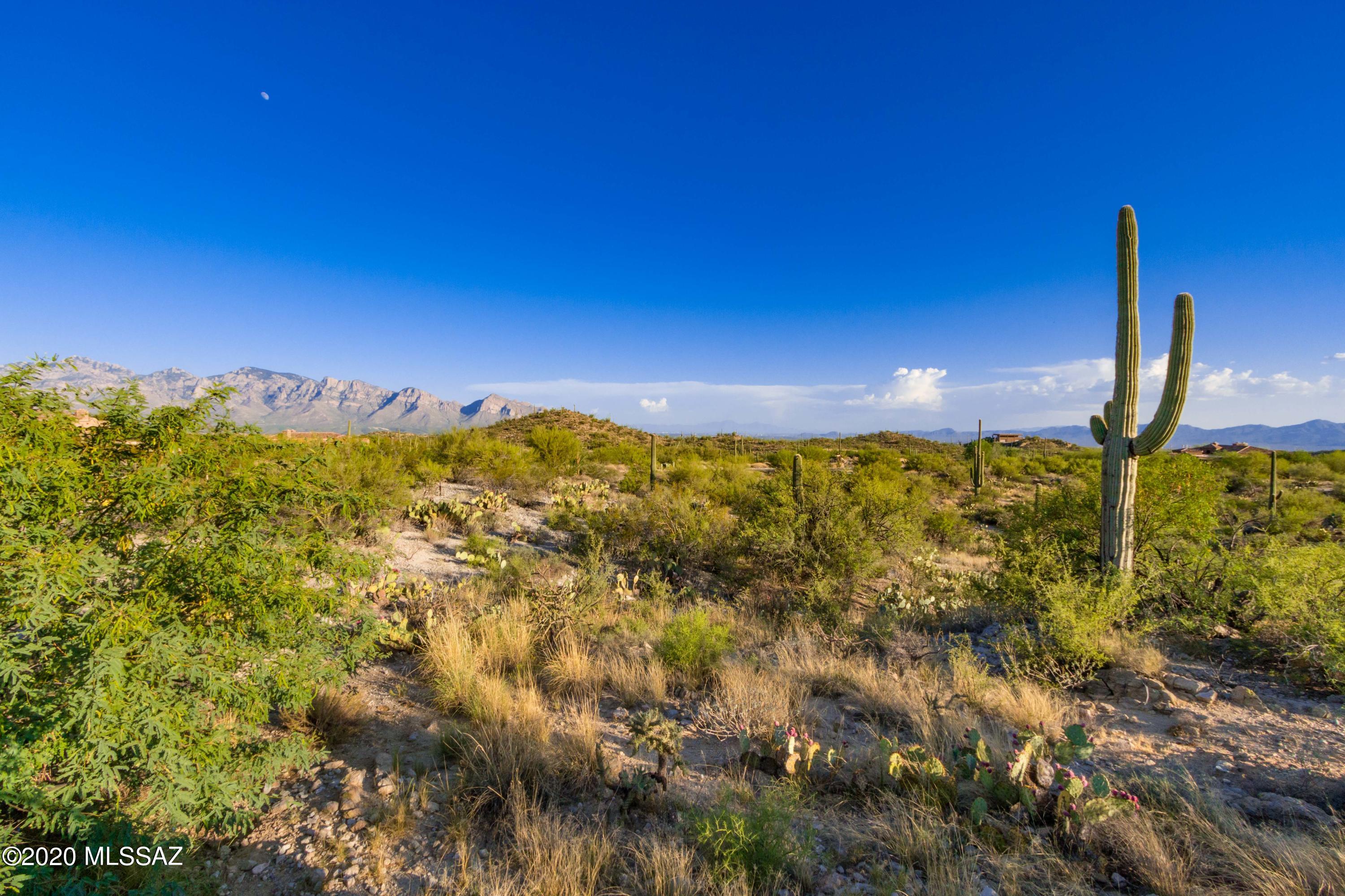 Stone Canyon III - Residential