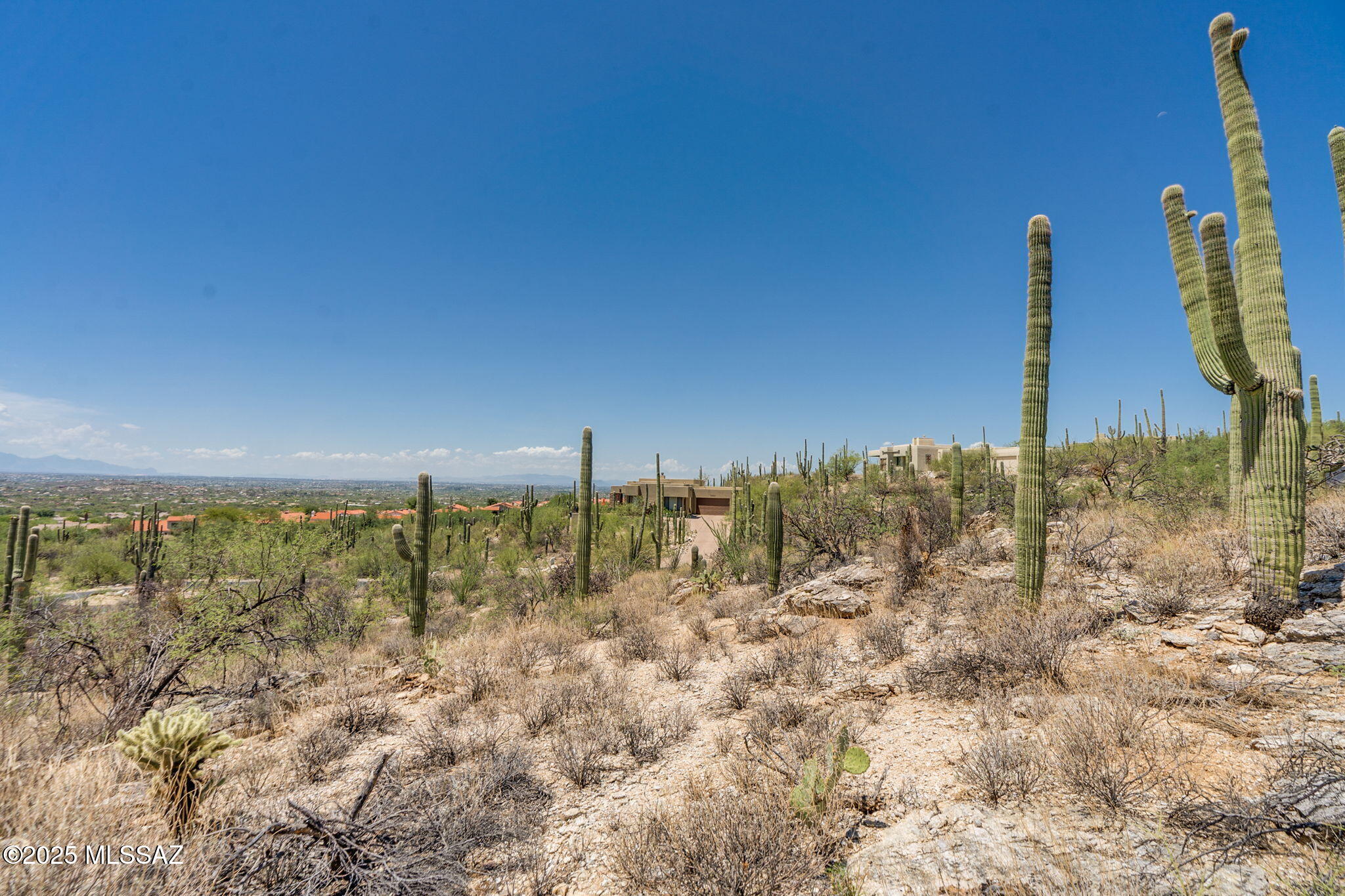 Sabino Estates (1-45) - Land