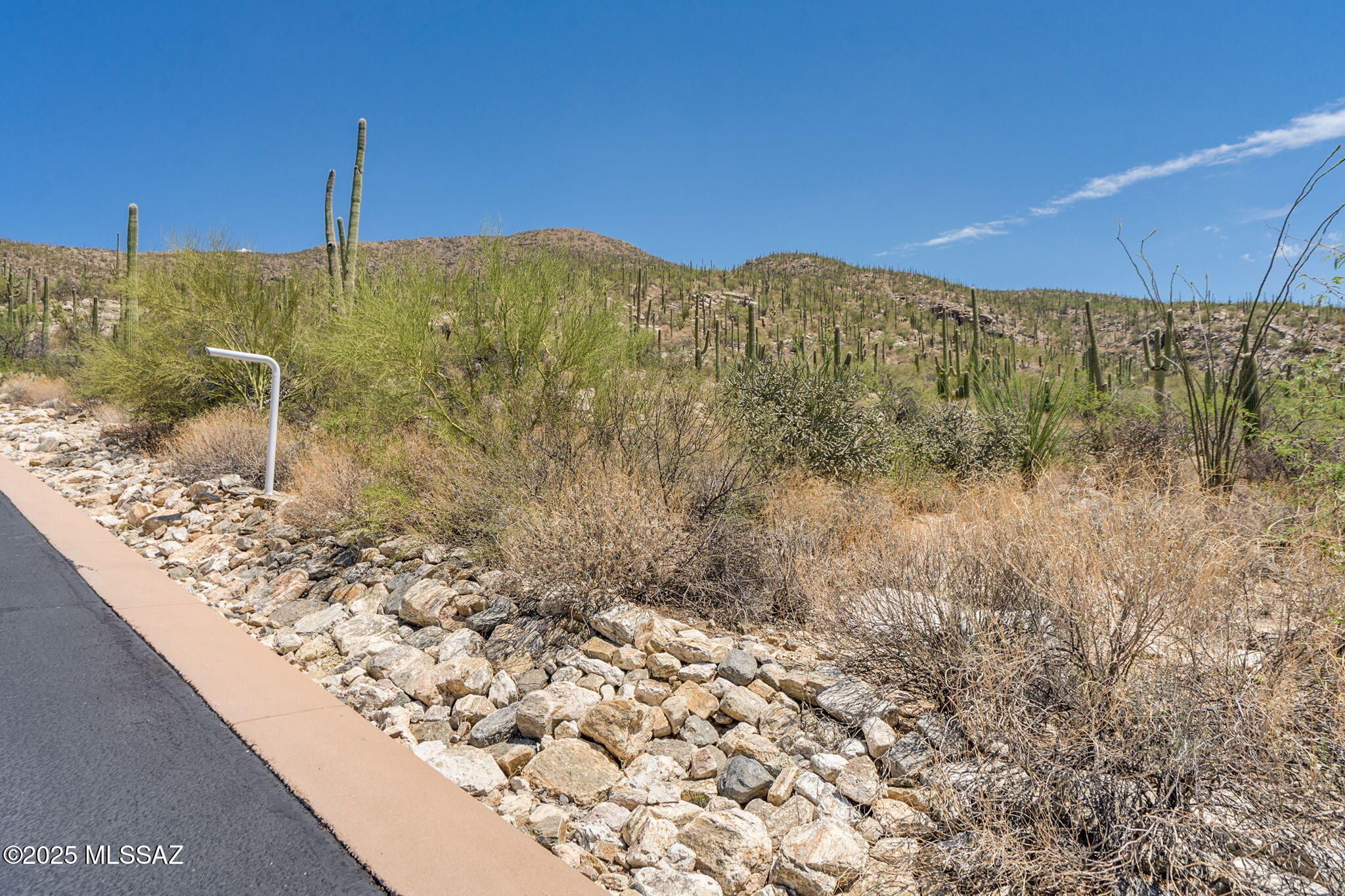Sabino Estates (1-45) - Land