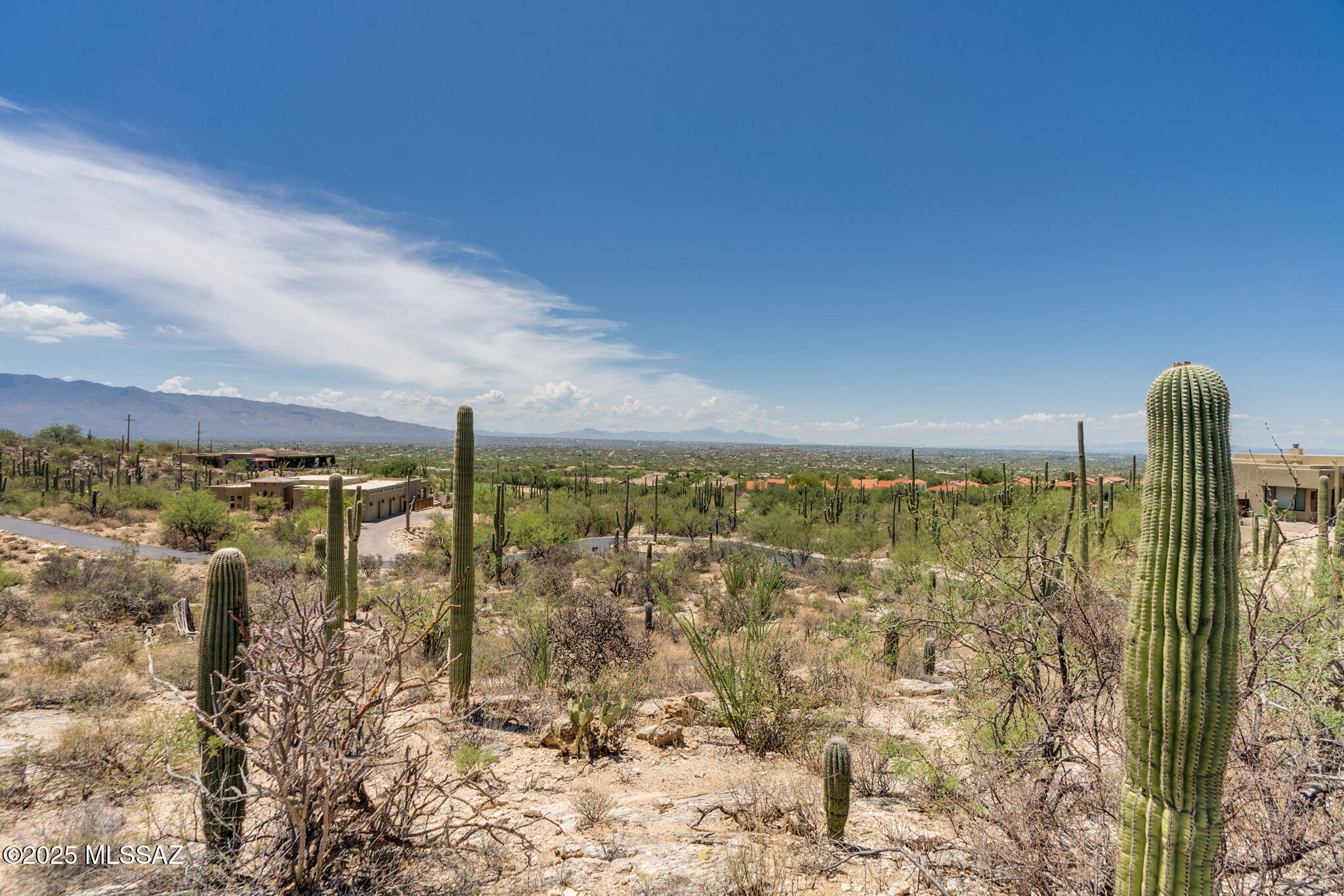 Sabino Estates (1-45) - Land