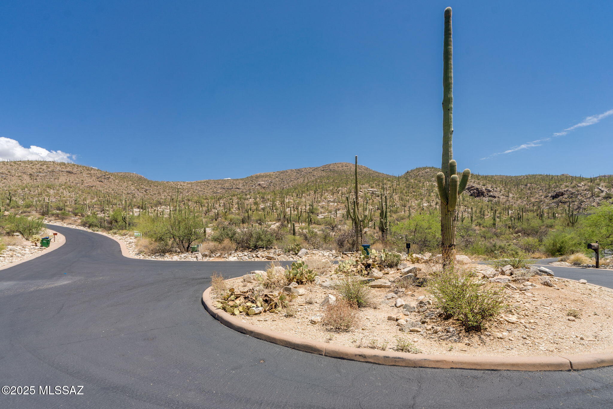Sabino Estates (1-45) - Land