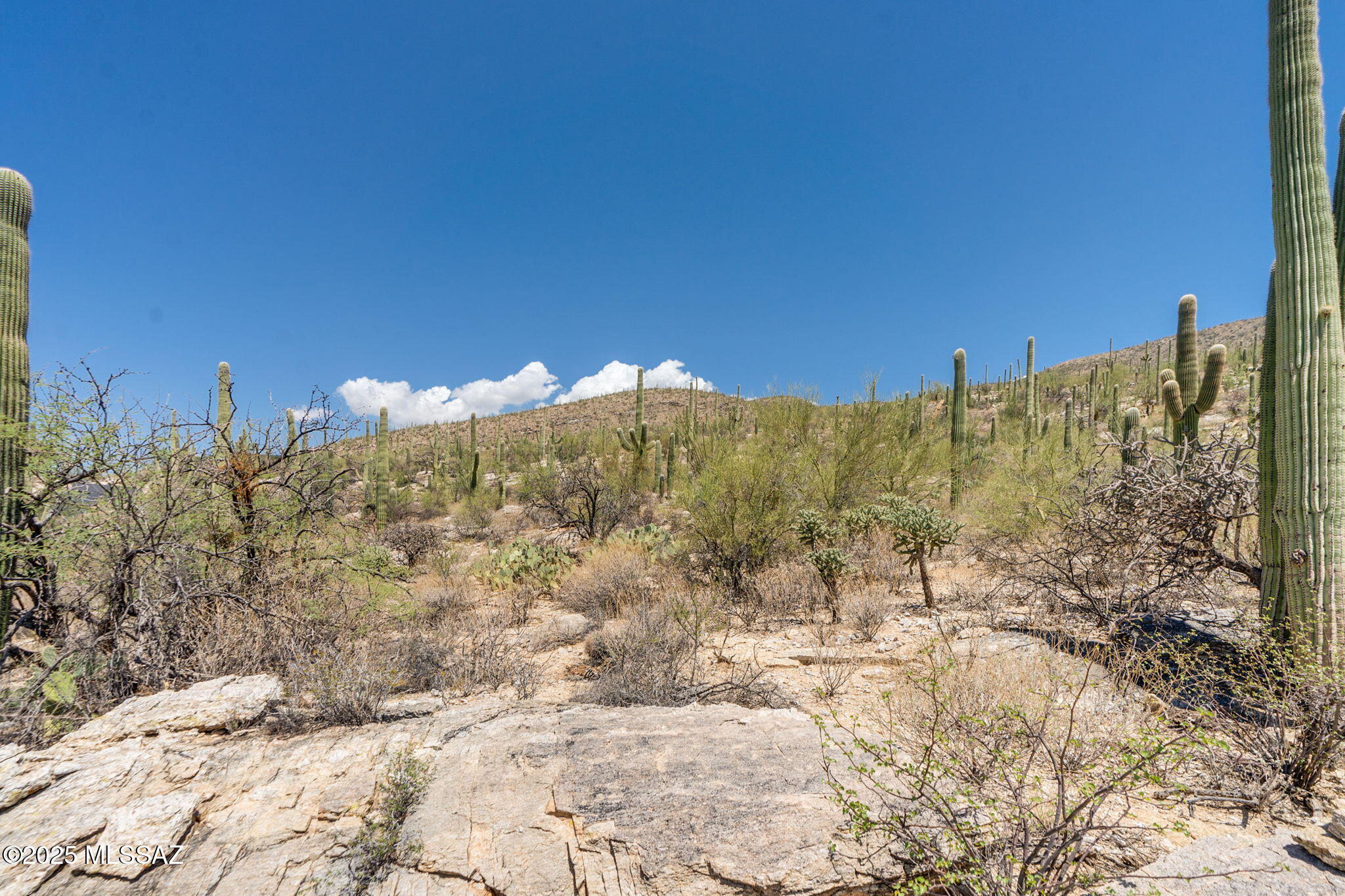 Sabino Estates (1-45) - Land