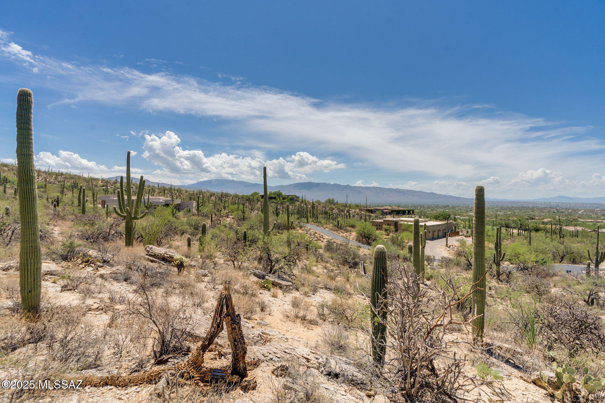Sabino Estates (1-45) - Land