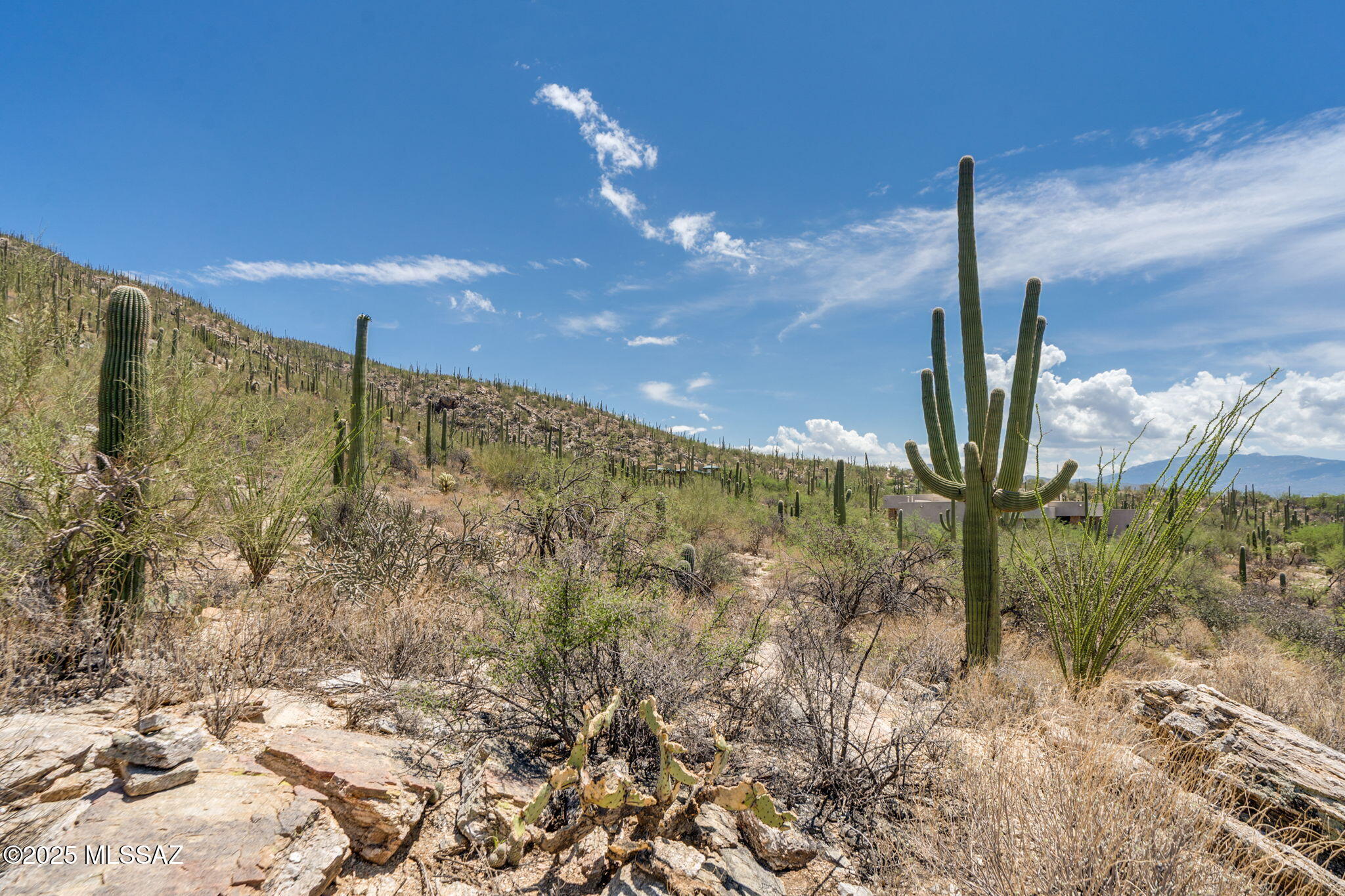 Sabino Estates (1-45) - Land