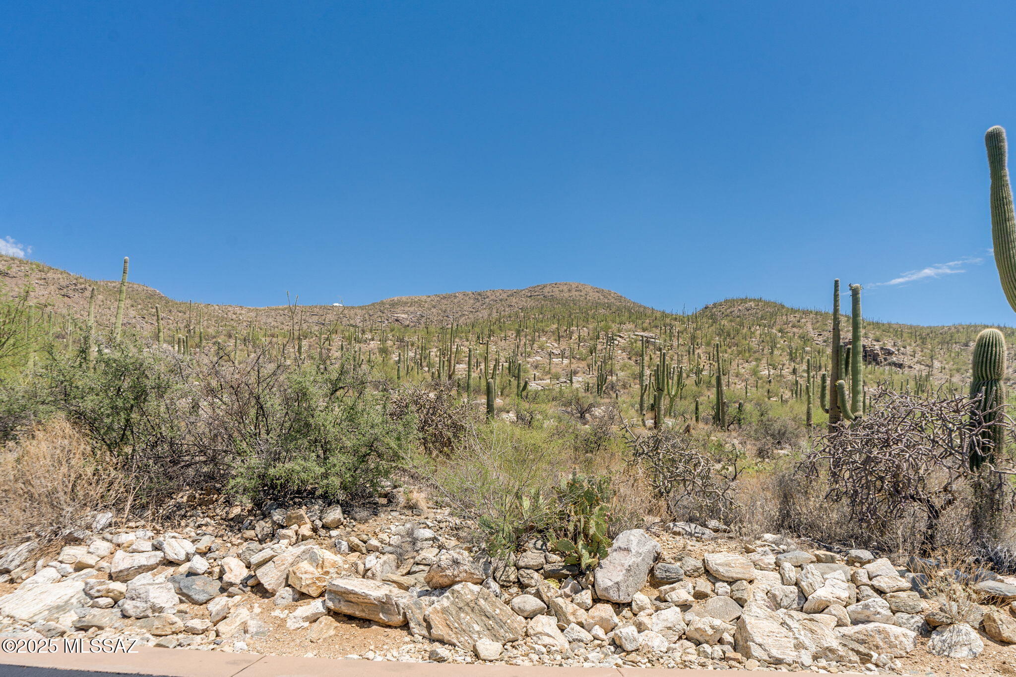 Sabino Estates (1-45) - Land