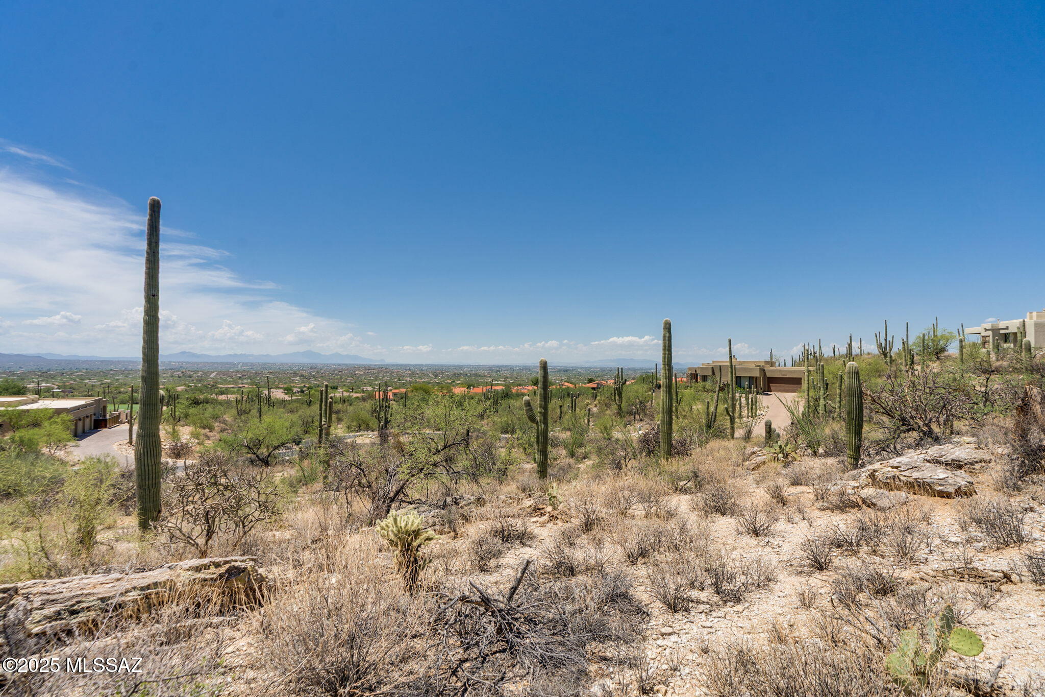 Sabino Estates (1-45) - Land