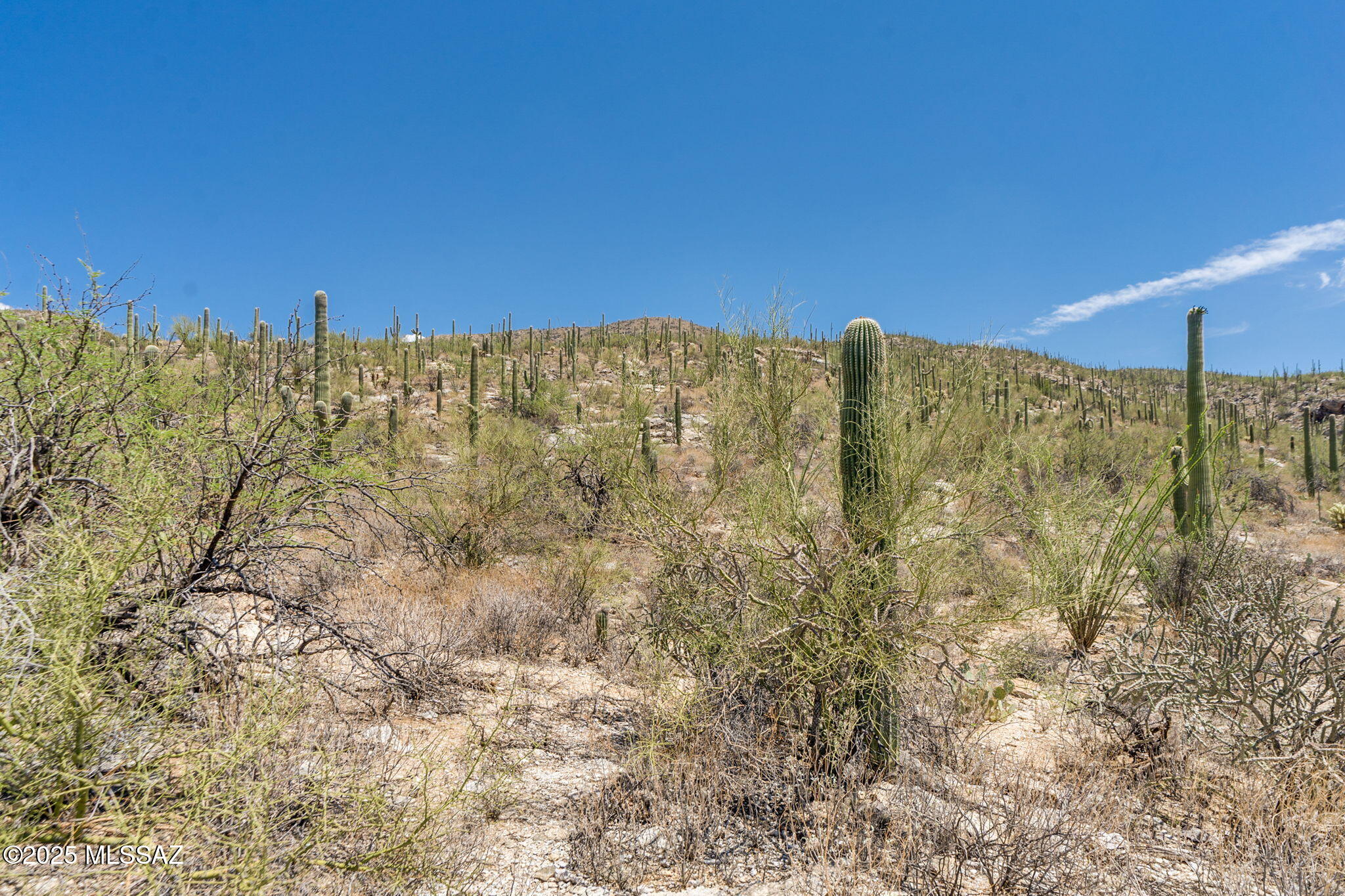 Sabino Estates (1-45) - Land
