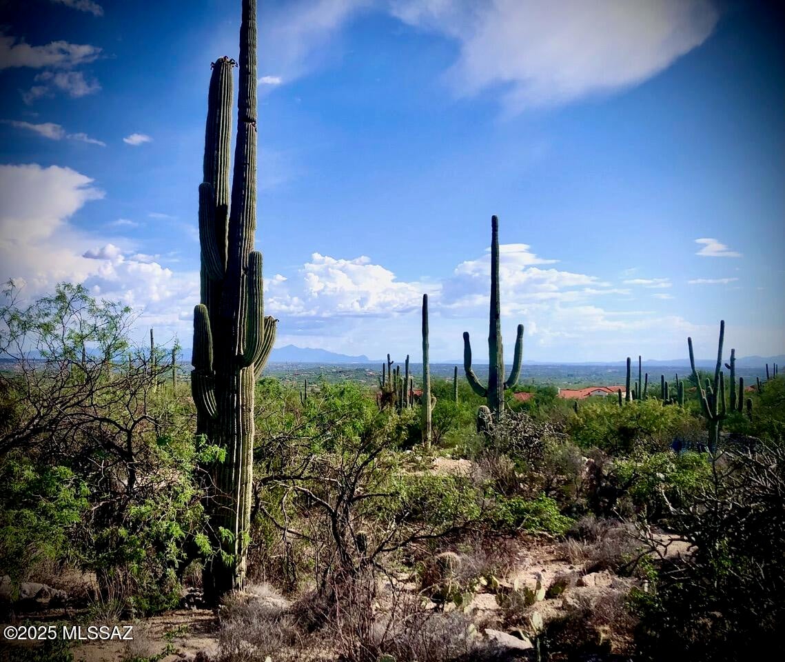 Sabino Estates (1-45) - Land
