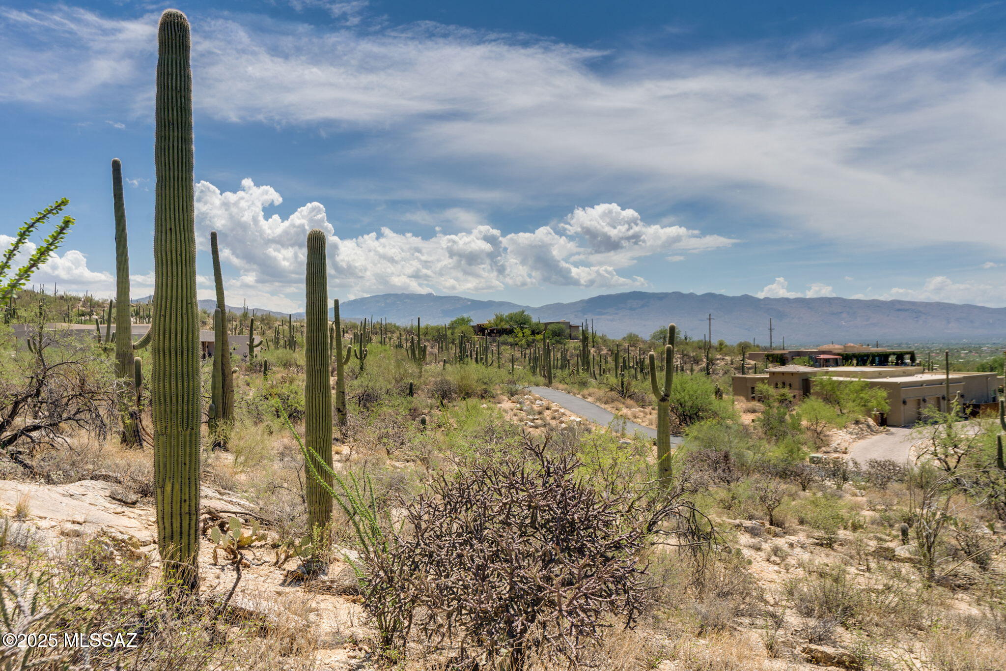 Sabino Estates (1-45) - Land