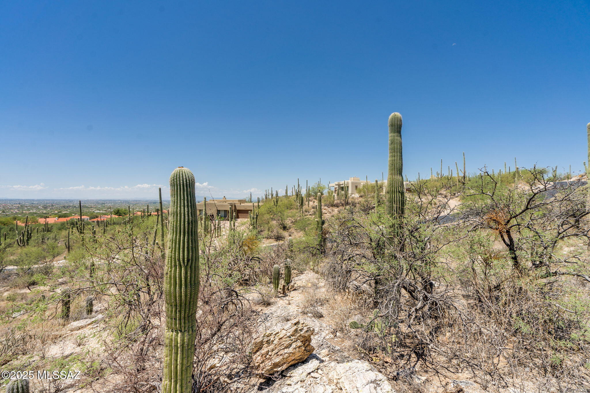 Sabino Estates (1-45) - Land