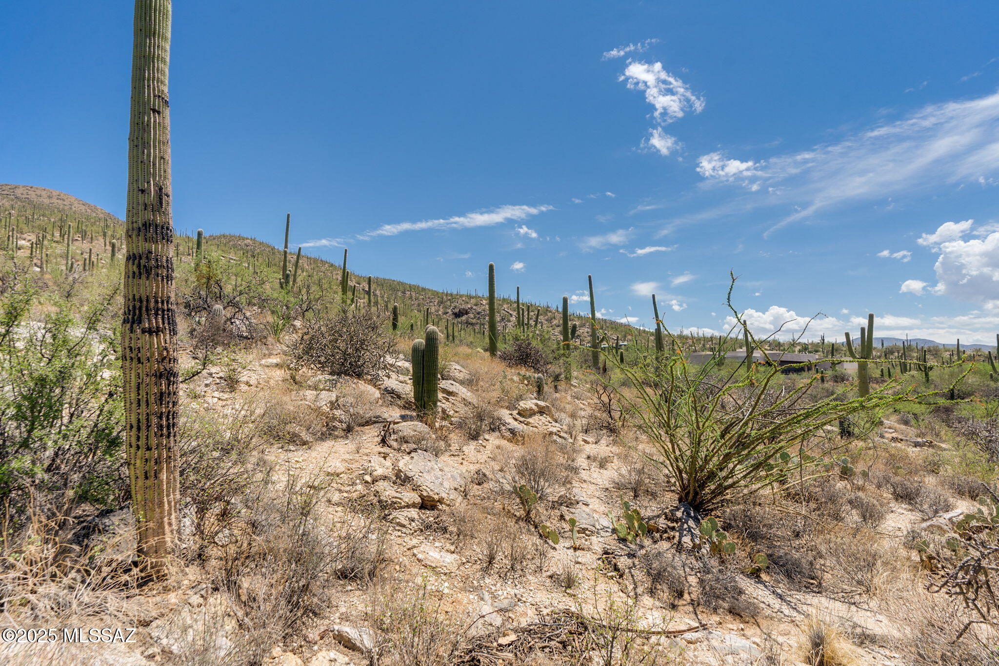 Sabino Estates (1-45) - Land