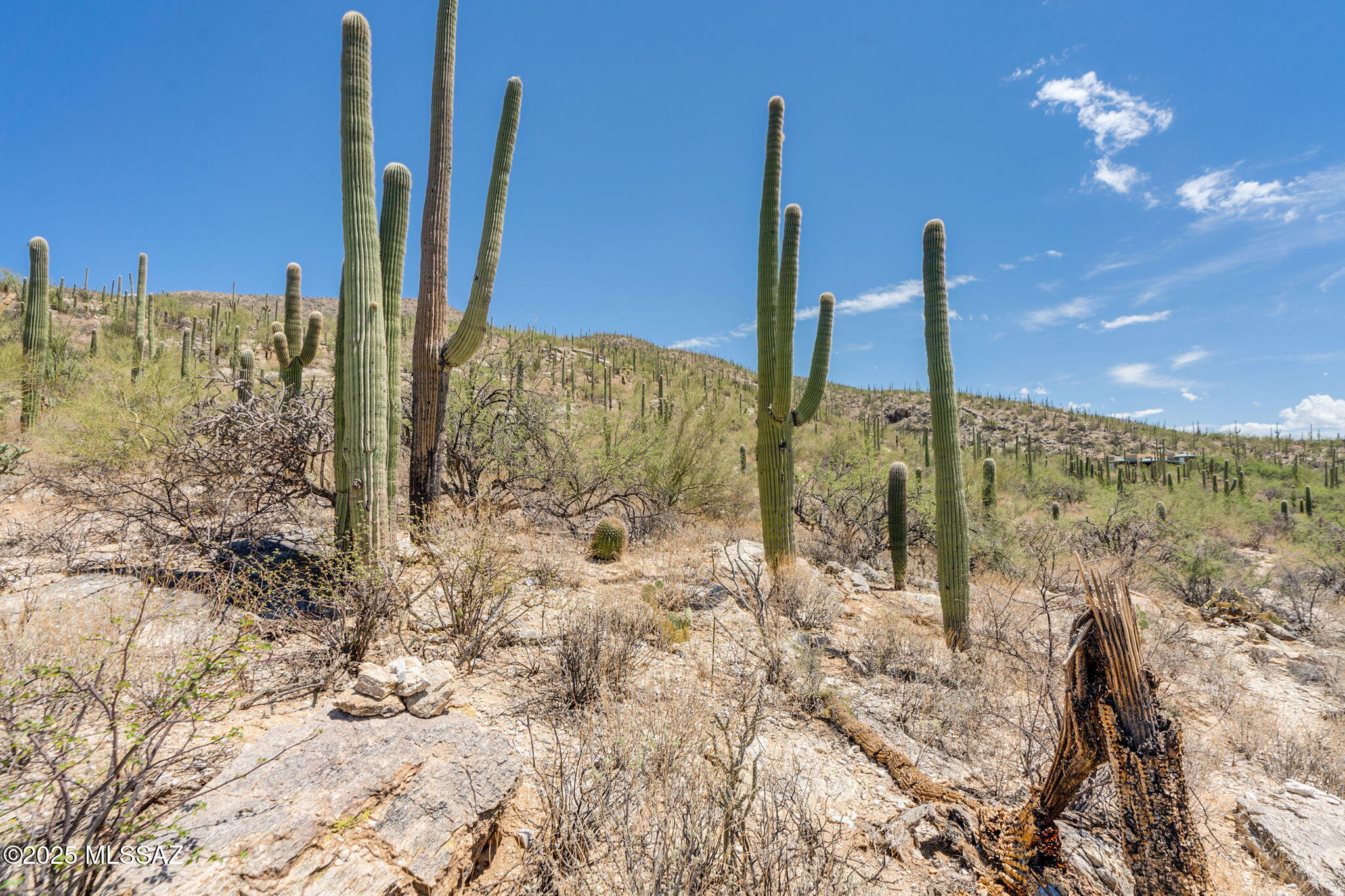 Sabino Estates (1-45) - Land