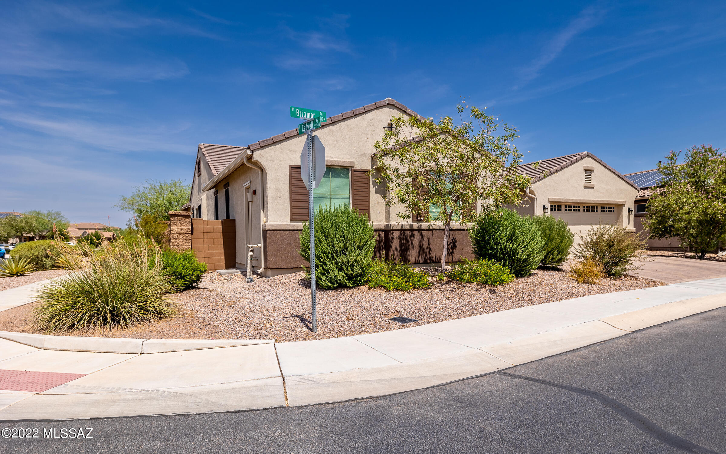 Saguaro Bloom Block 8B - Residential