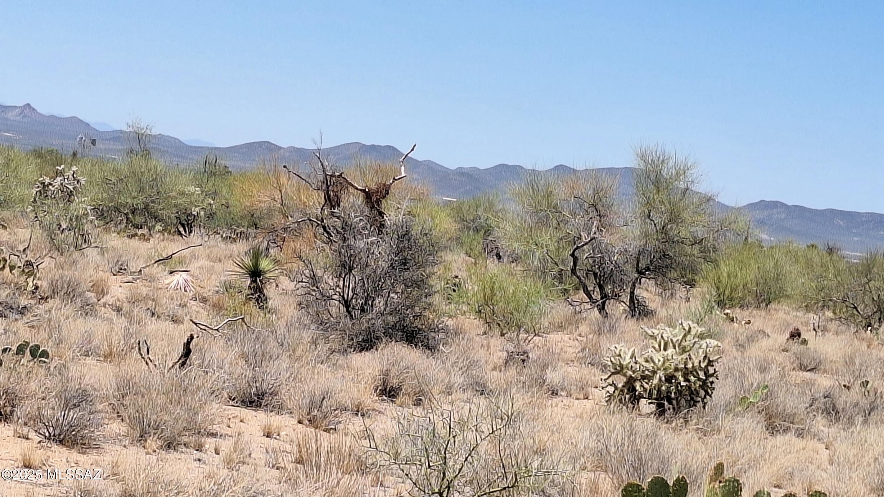 Diamond Bell Ranch - Tucson Unit 7 (1-416) - Land