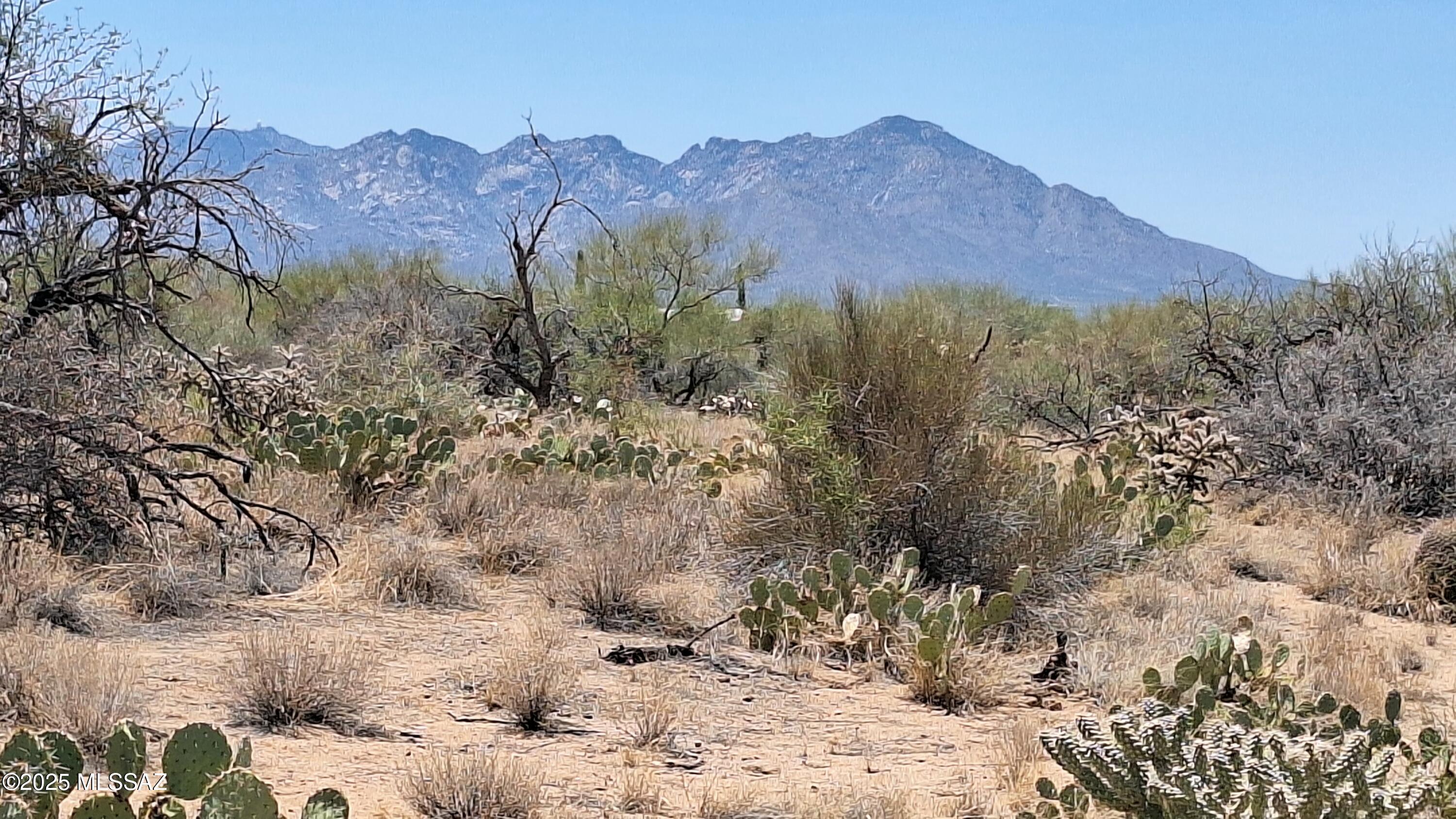 Diamond Bell Ranch - Tucson Unit 7 (1-416) - Land