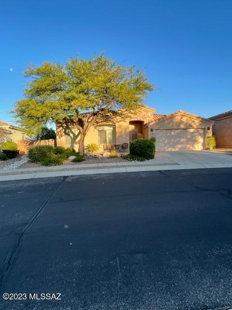 Sabino Mountain (1-290) - Residential