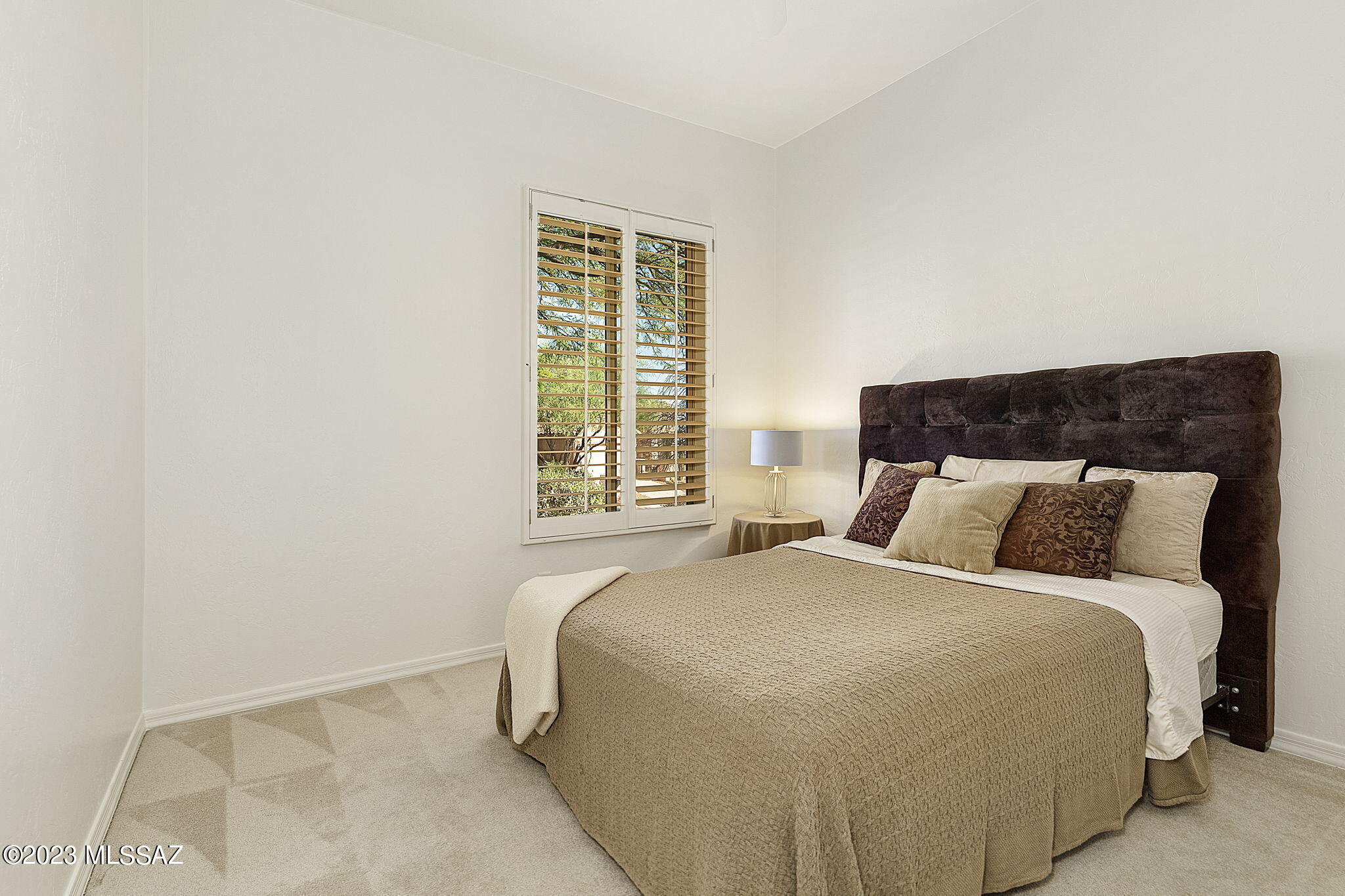 Sabino Mountain (1-290) - Residential