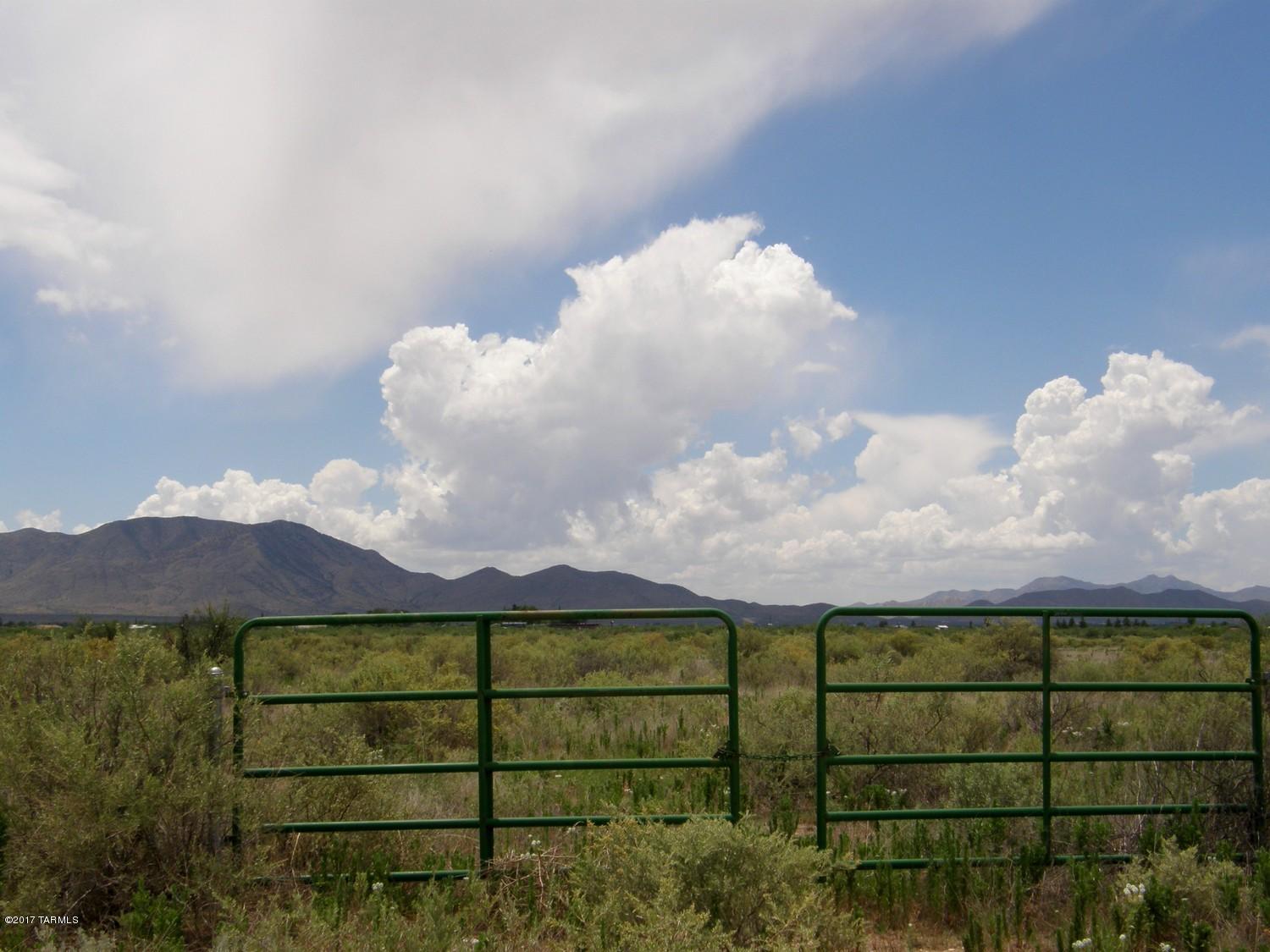 GREAT 40 ACRE LOT FOR ONLY $36,500 FENCED WITH POWER & A WELL SHARE!! Convenient location approximately 1/2 mile off HWY 191. Enjoy great mountain views in all directions. Close to the Dragoon Mountains located in the Coronado National Forest where you can camp & hike. Shopping, dining, medical & golf Willcox and Benson. Less than 10 miles south of I-10 where you can be in Tucson in a little over an hour. This is a great area for horse & nature lovers with numerous places to ride & hike. The lot abuts state trust land to the west. Come & enjoy spectacular sunsets, dark starry nights & a mild year around climate. With power & the shared well all you need is a septic & the lots ready for your new home.