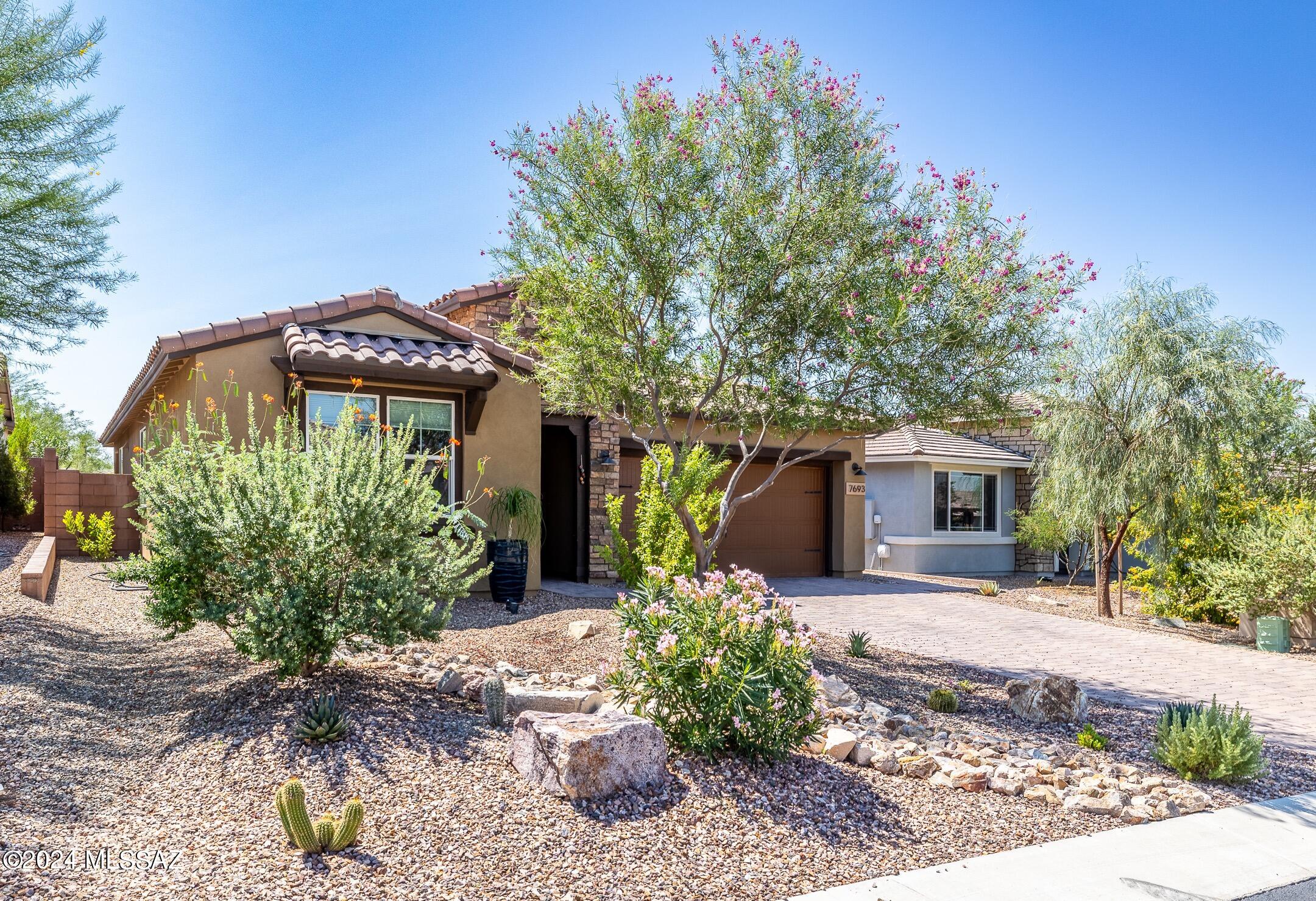 Blue Agave At Dove Mountain - Residential