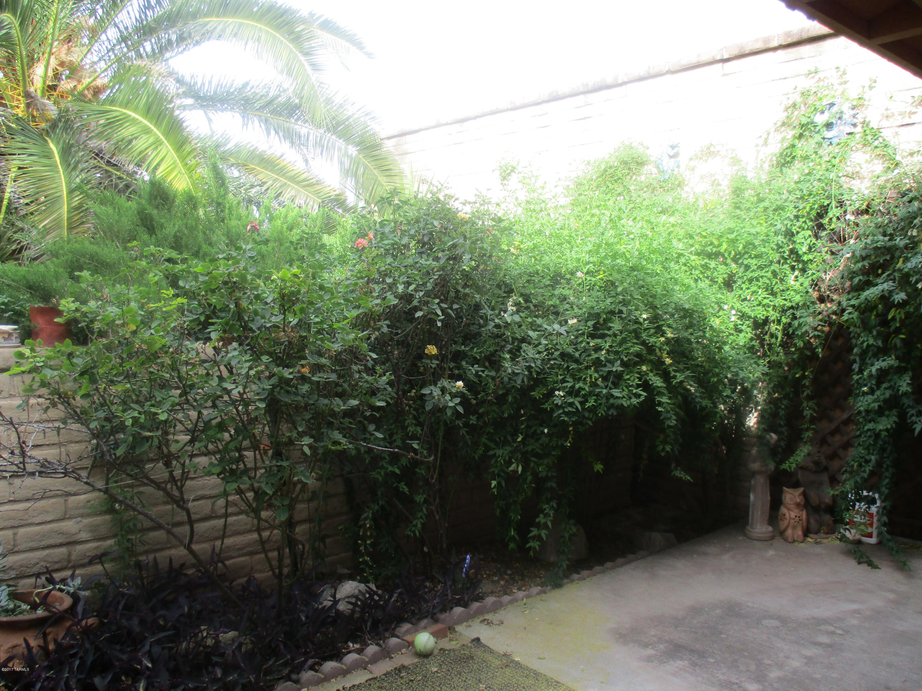 Tanque Verde Terrace (1-56) - Residential