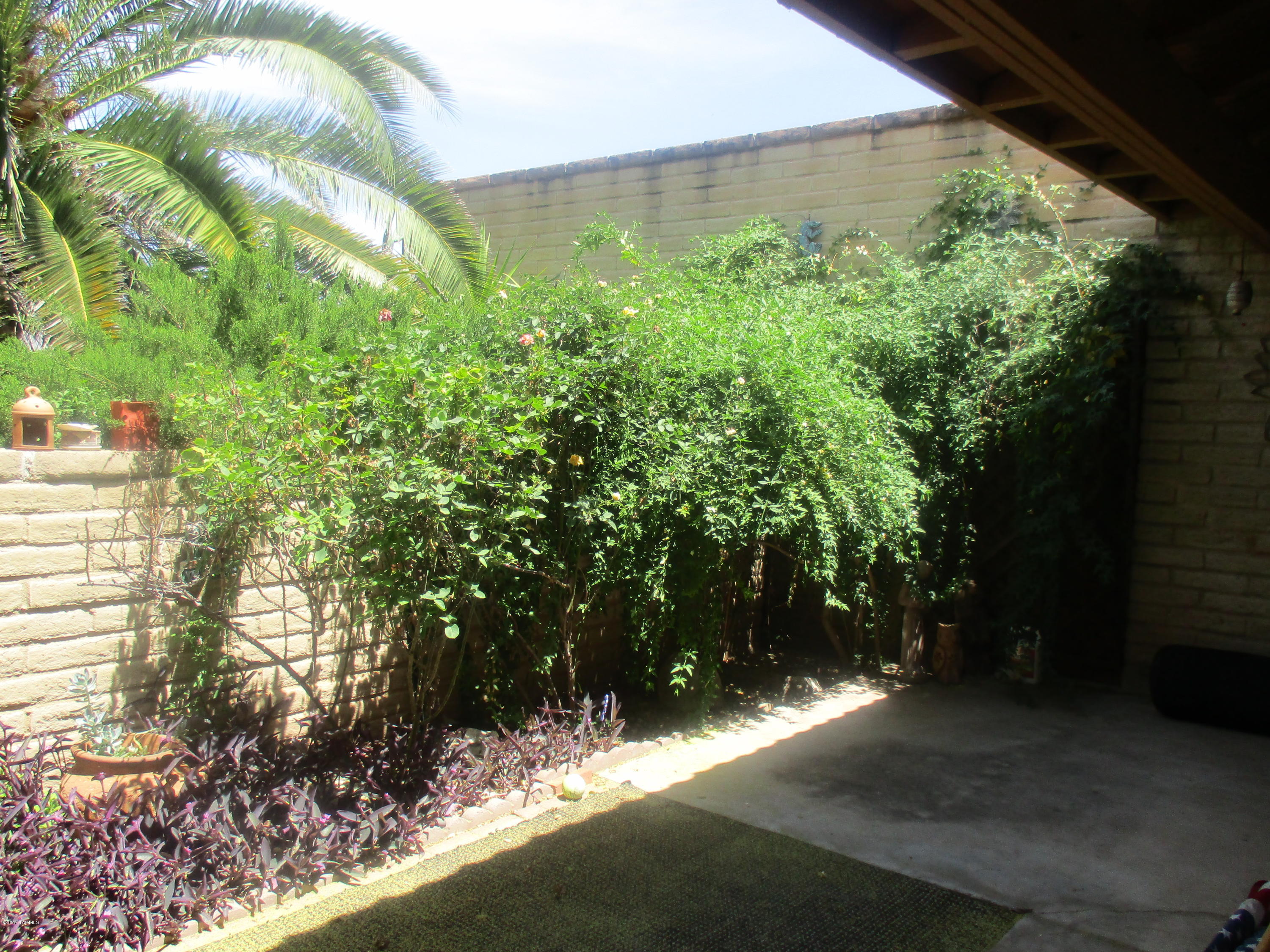 Tanque Verde Terrace (1-56) - Residential