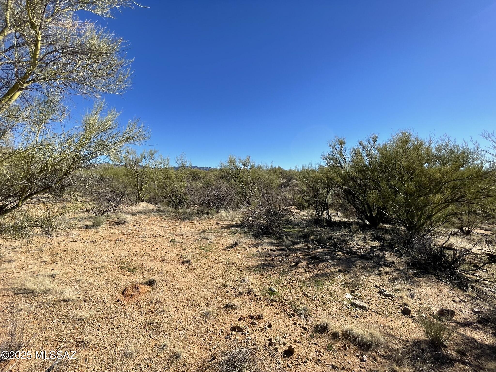 Diamond Bell Ranch - Tucson Unit 11 (1-448) - Land