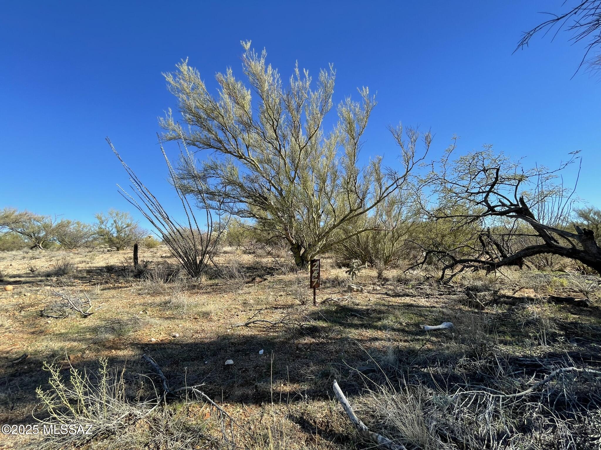 Diamond Bell Ranch - Tucson Unit 11 (1-448) - Land