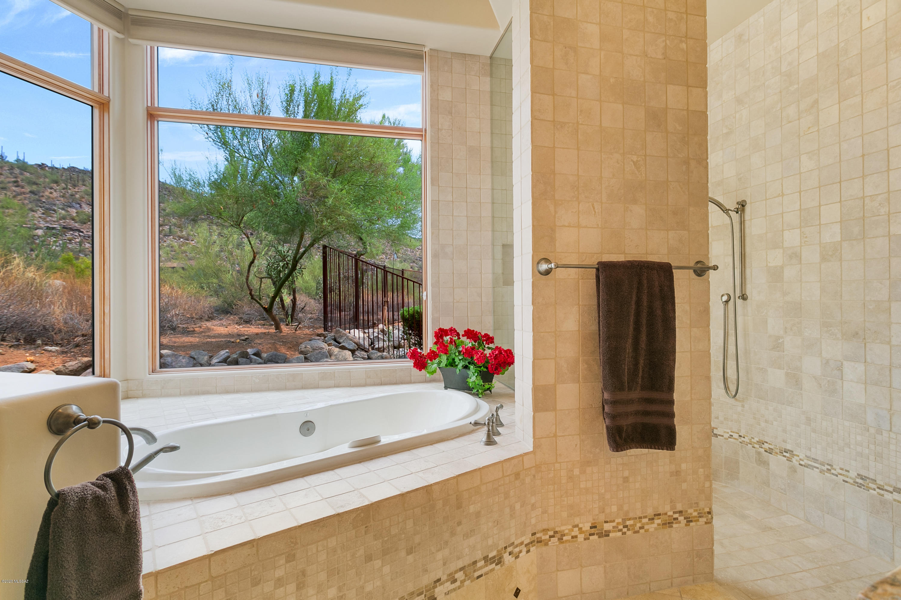 Canyon Pass At Dove Mountain(1-48) - Residential