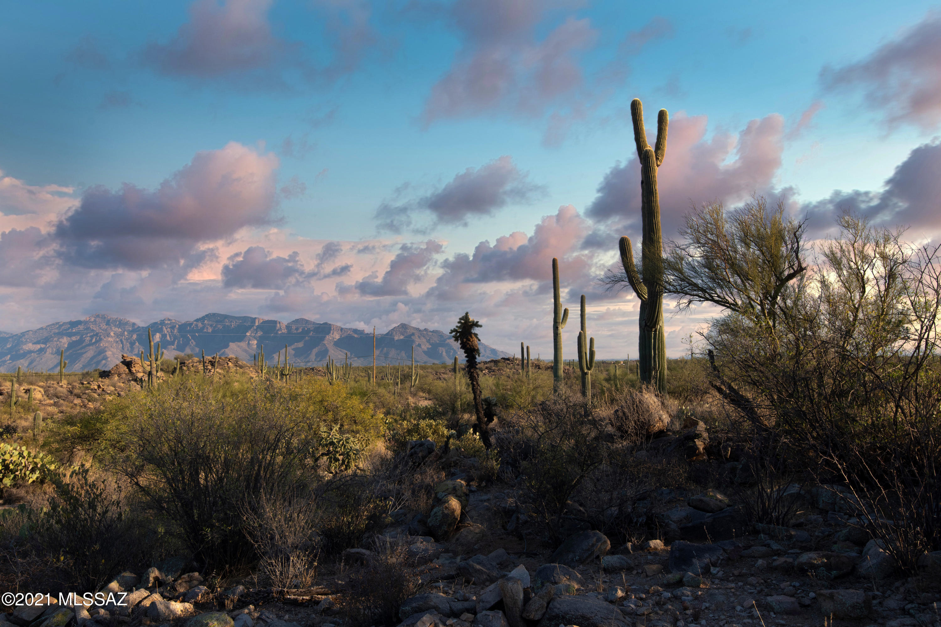 Saguaro Ranch (9-52) Blks. 1-4 - Land