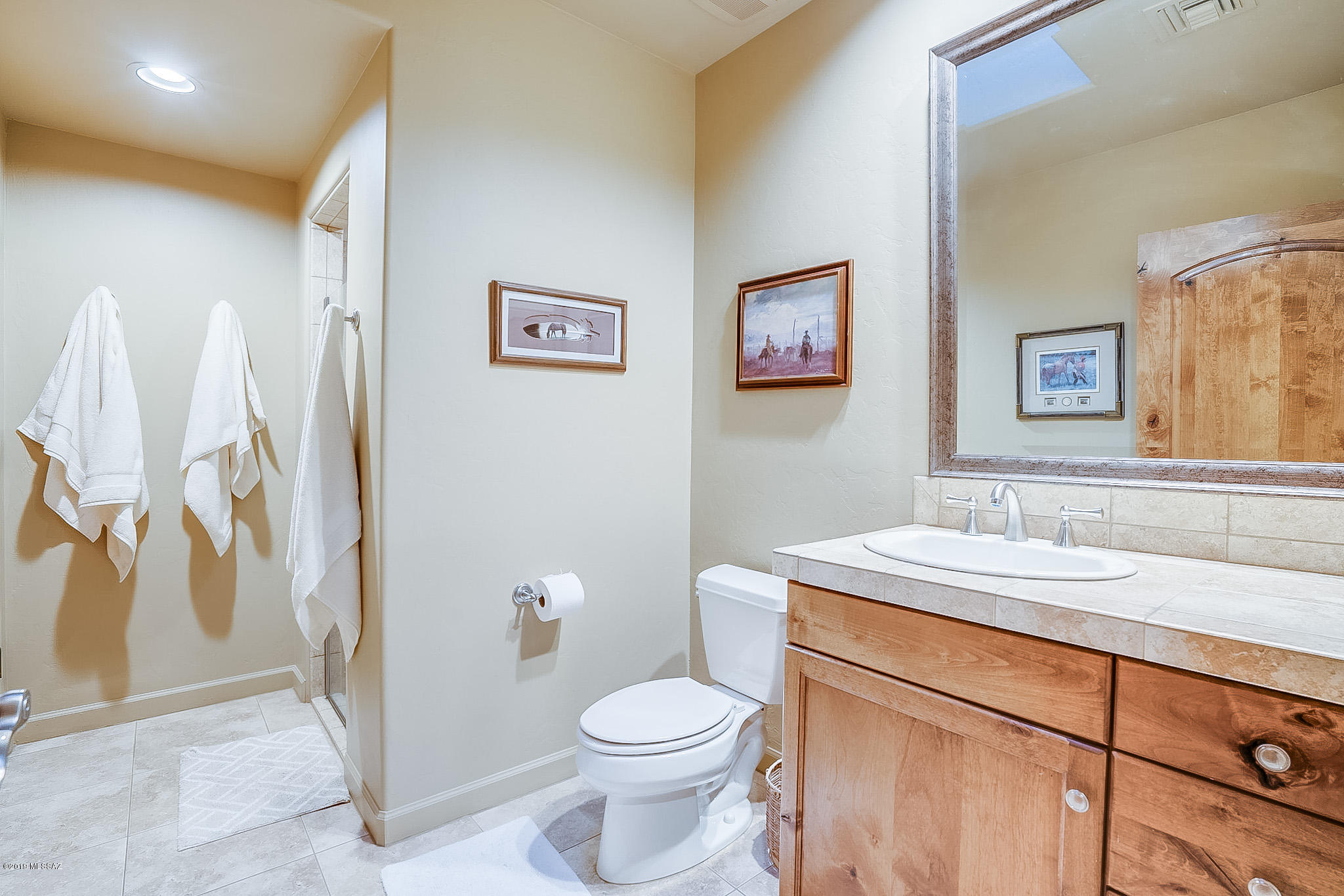Sabino Mountain (1-290) - Residential