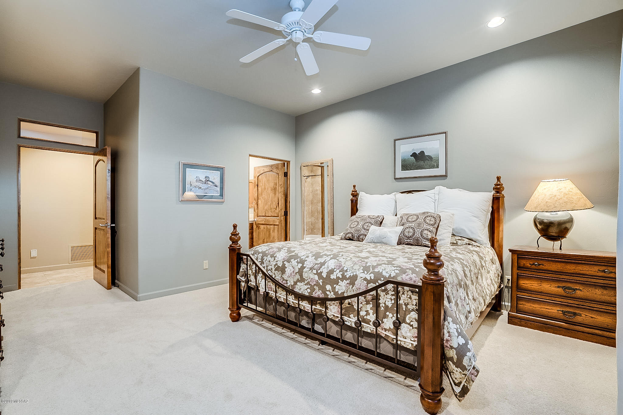 Sabino Mountain (1-290) - Residential