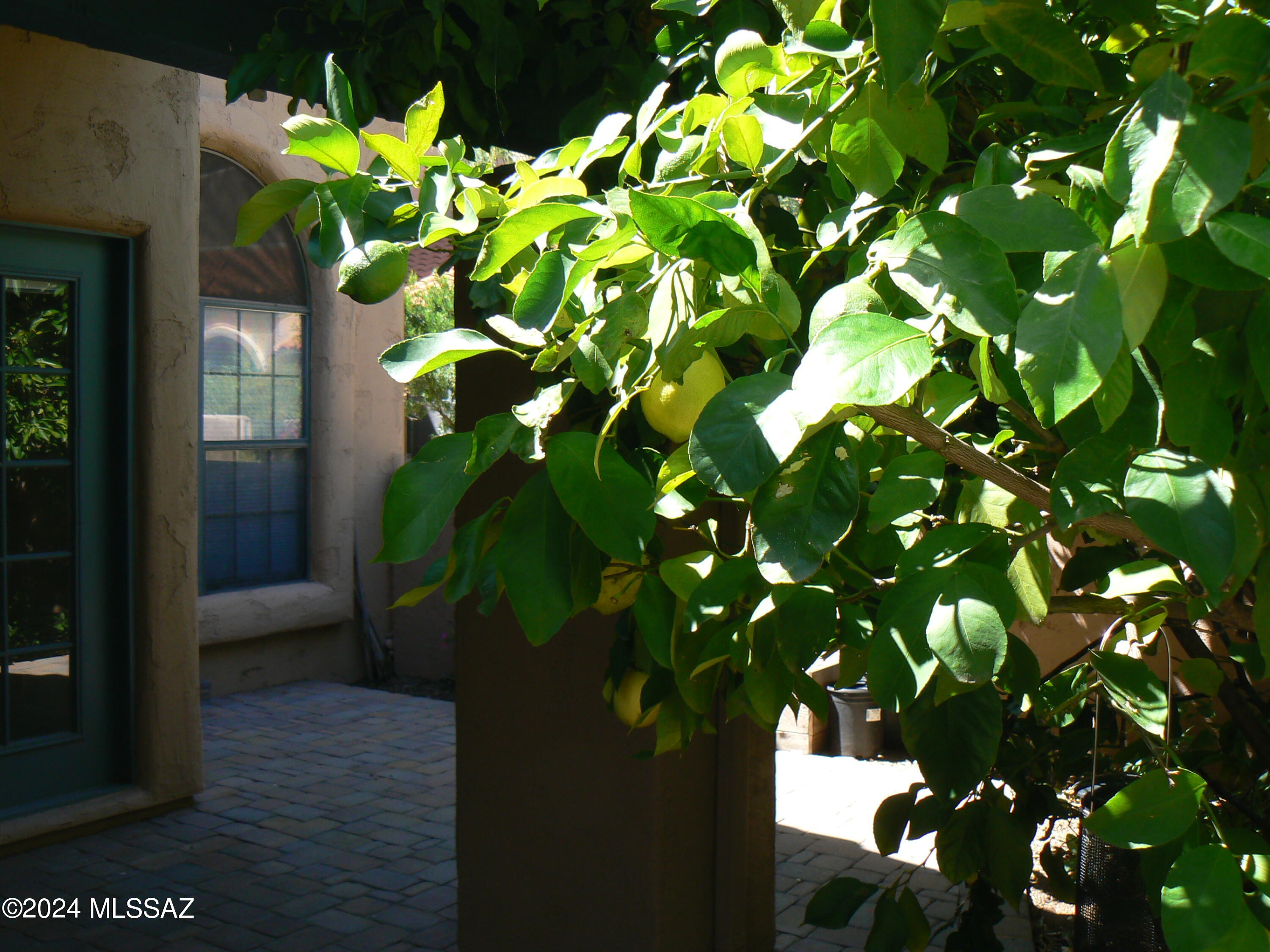Ventana De Sabino North (1-127) - Residential