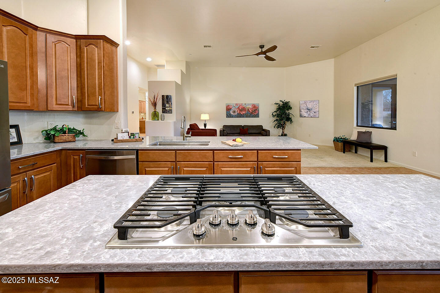 Valle Escondido (1-20) - Residential