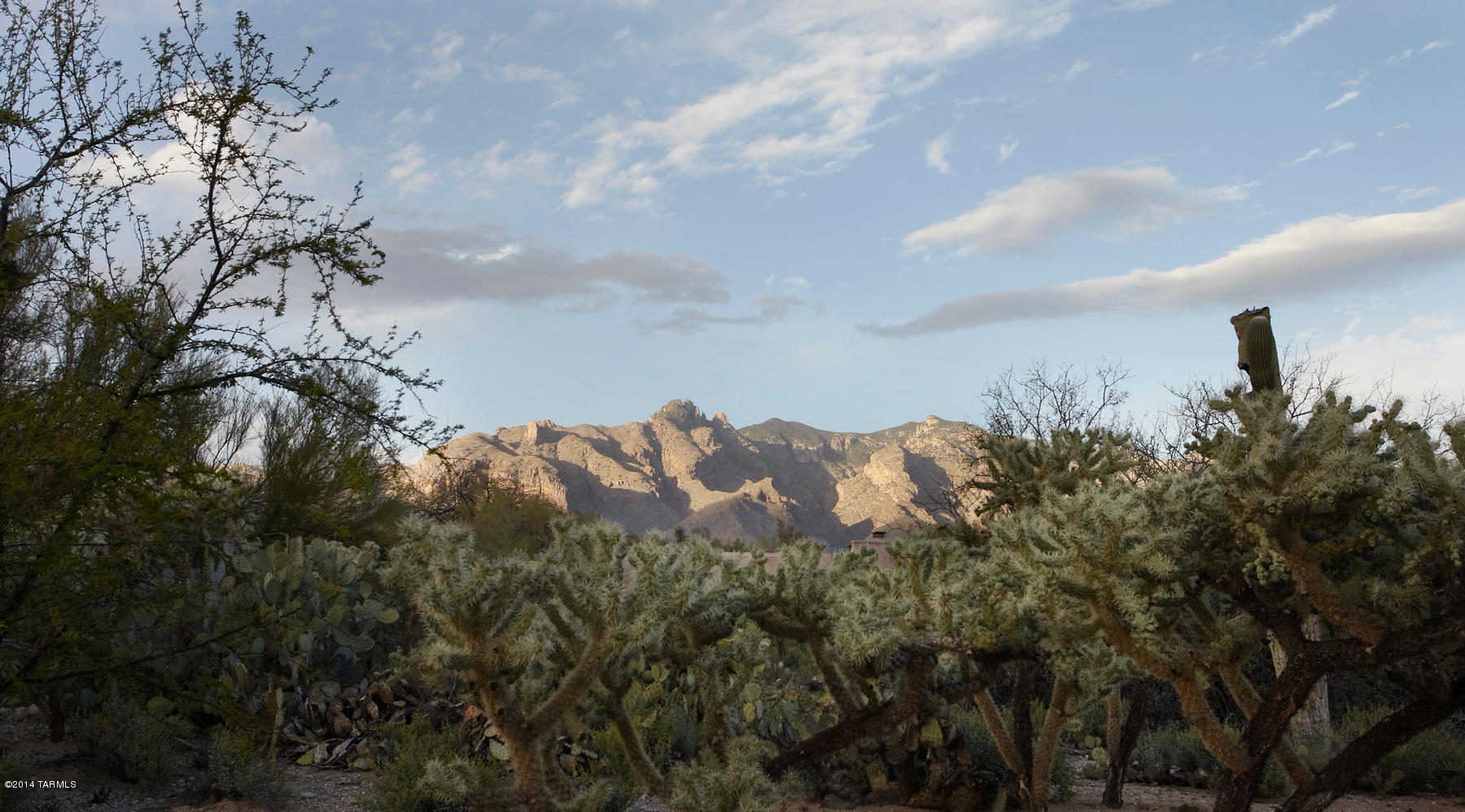 Catalina Foothills Est 8 - Residential