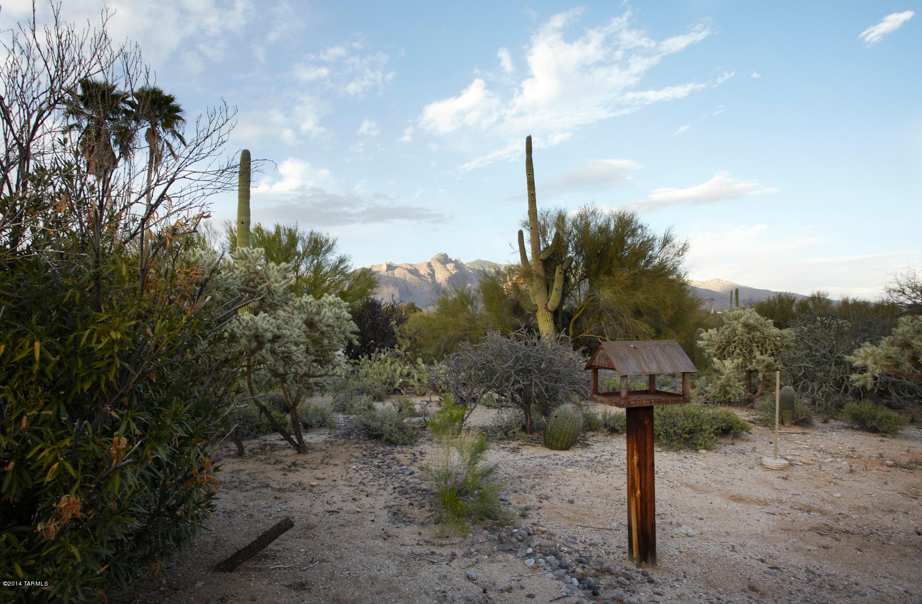 Catalina Foothills Est 8 - Residential